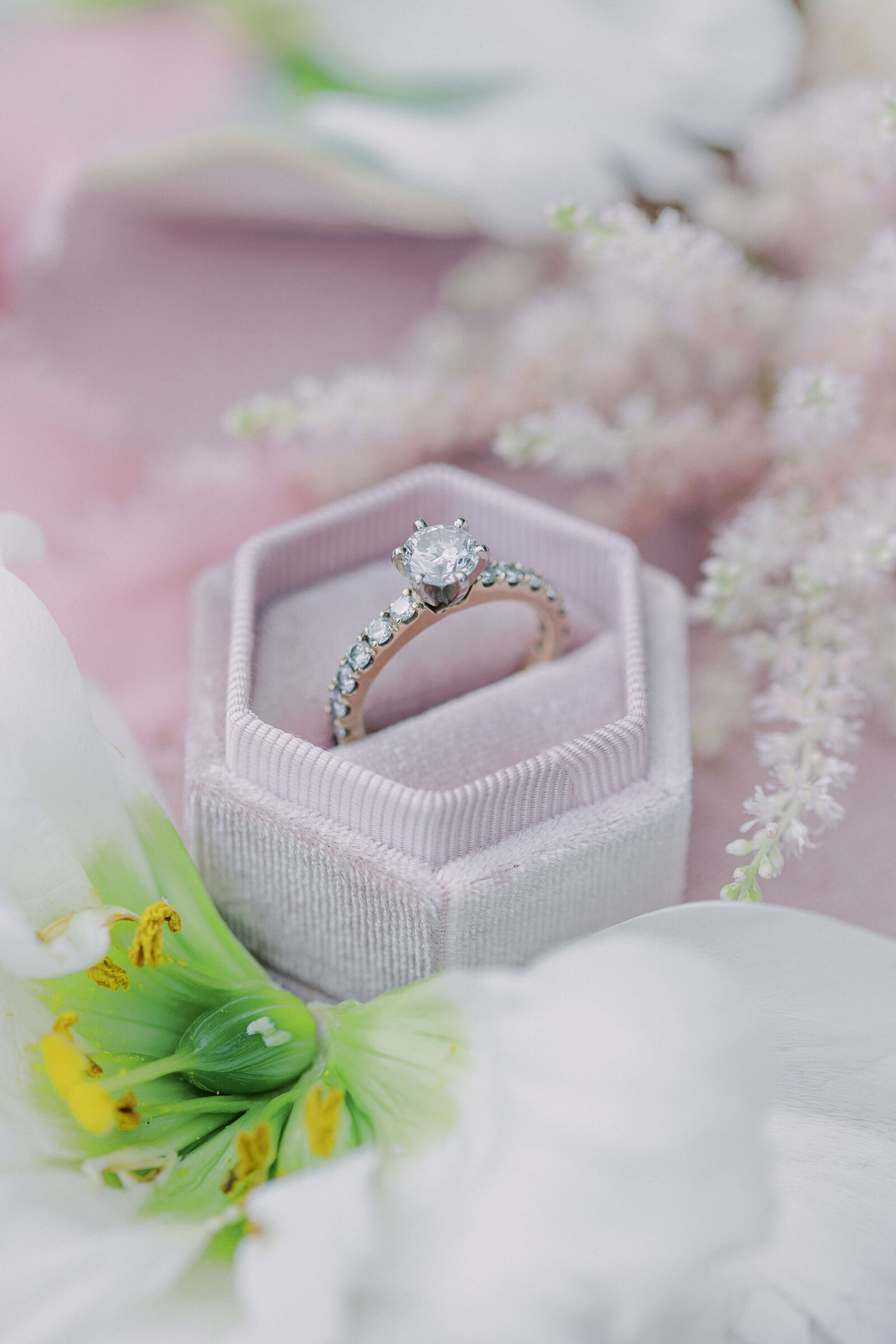 Nicole&Dan_preview-5