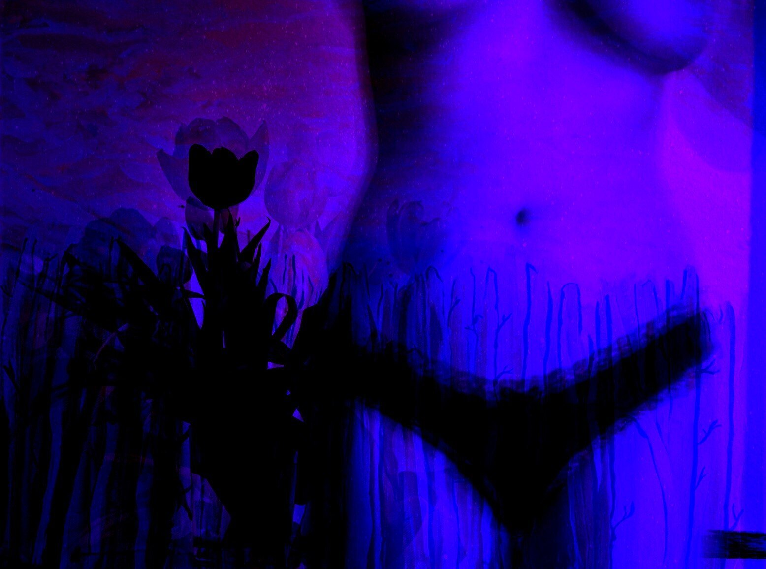 PICKET_FENCE-BLUE-PINK (2)