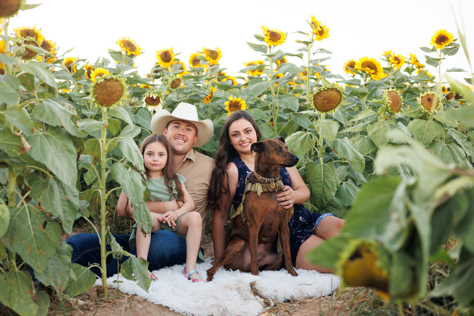 Sunflower Family 2022 _ Printable-09