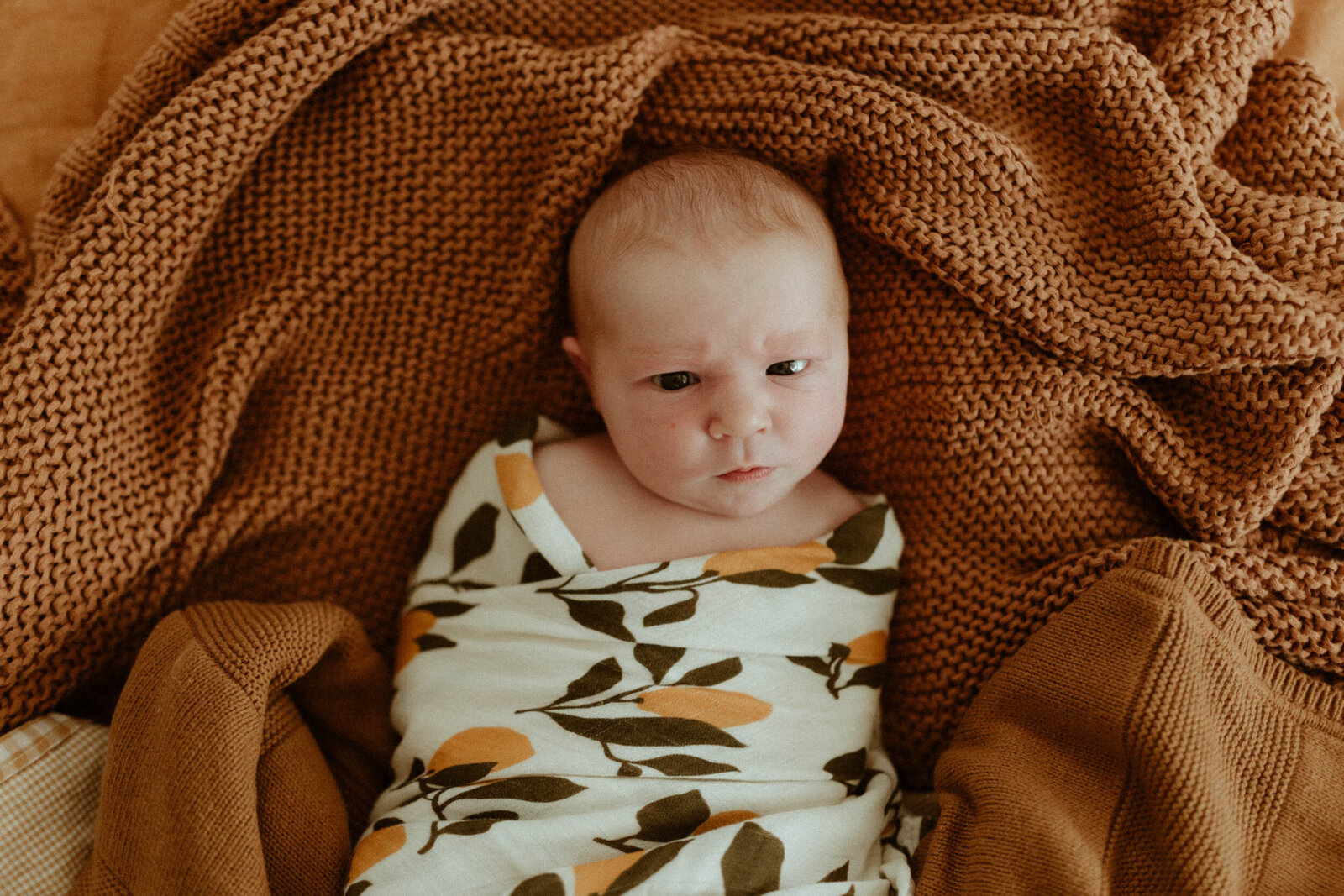 Arden newborn photos, December 2022, Deanna Giffen-30