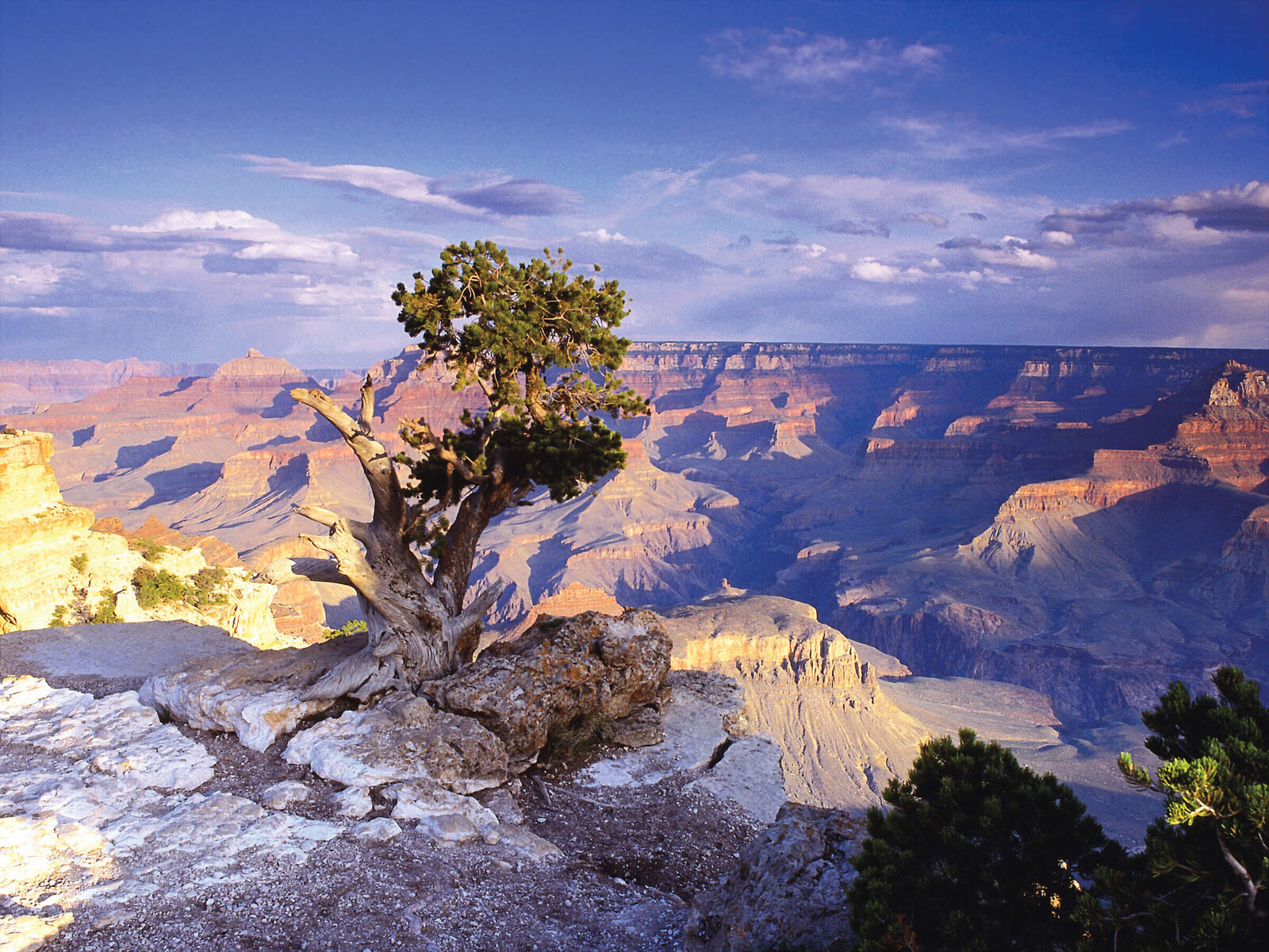 North America_GrandCanyon