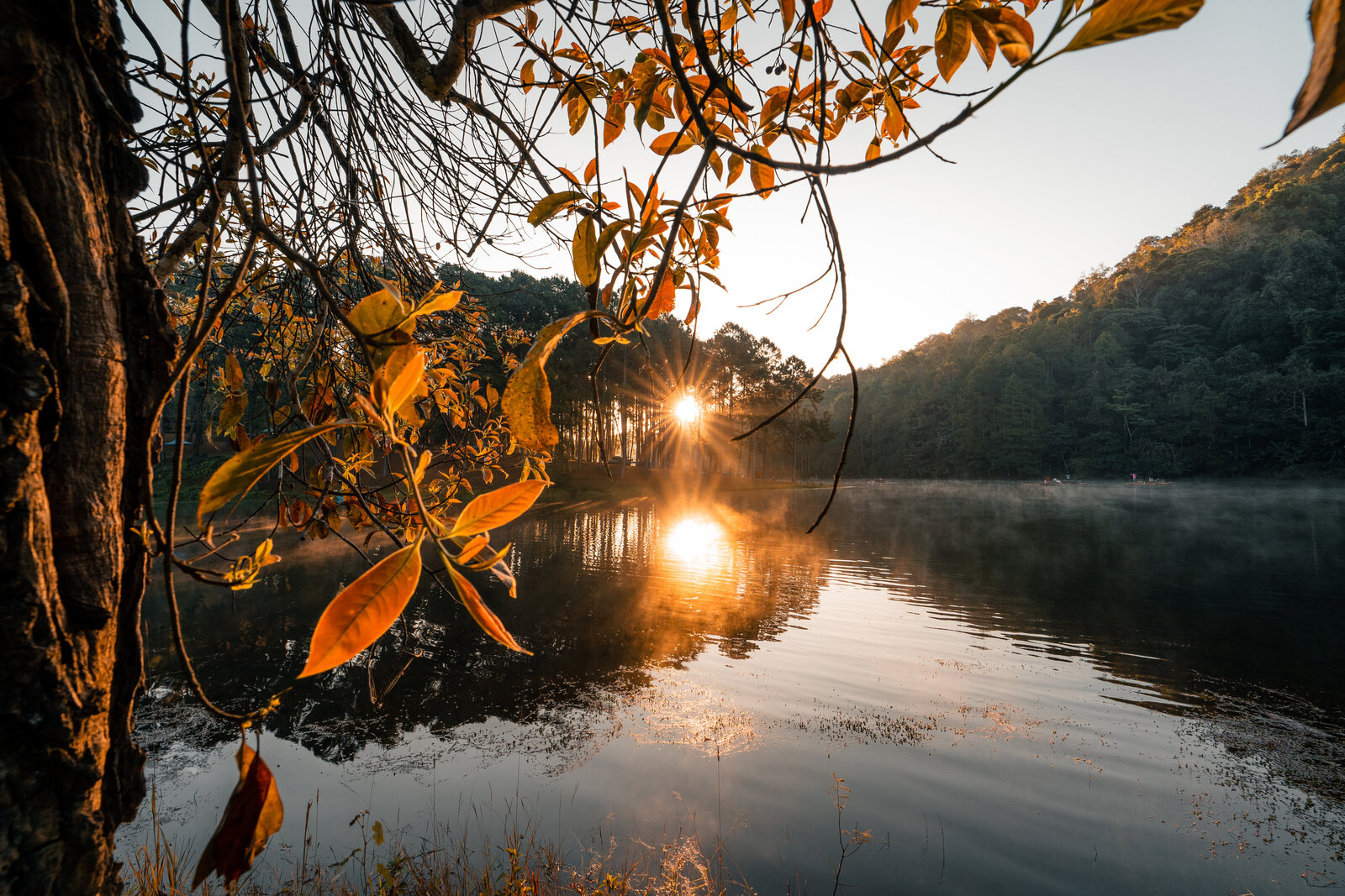 beatiful-nature-lake-and-forest-in-the-morning-2023-11-27-05-18-23-utc
