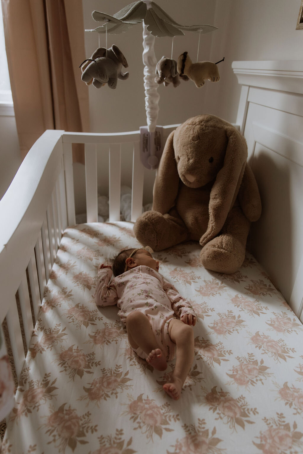AbigailElizabethPhoto--5