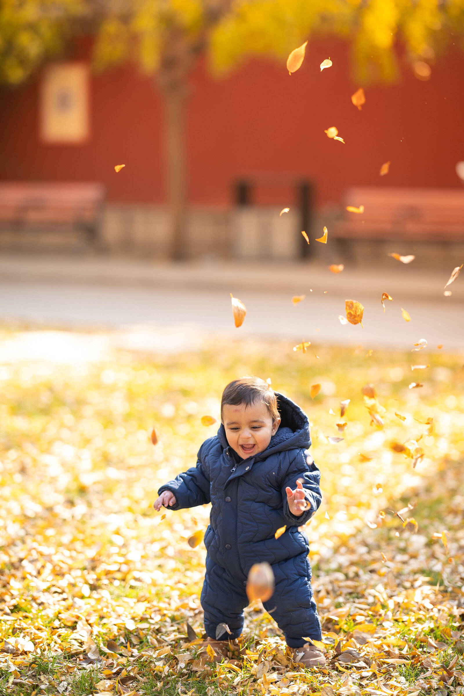 5W4A6701-Enhanced-NR