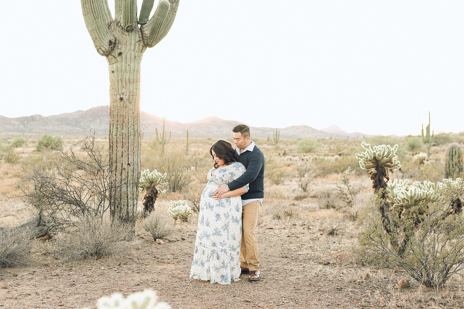 phoenix-maternity-photographer-361