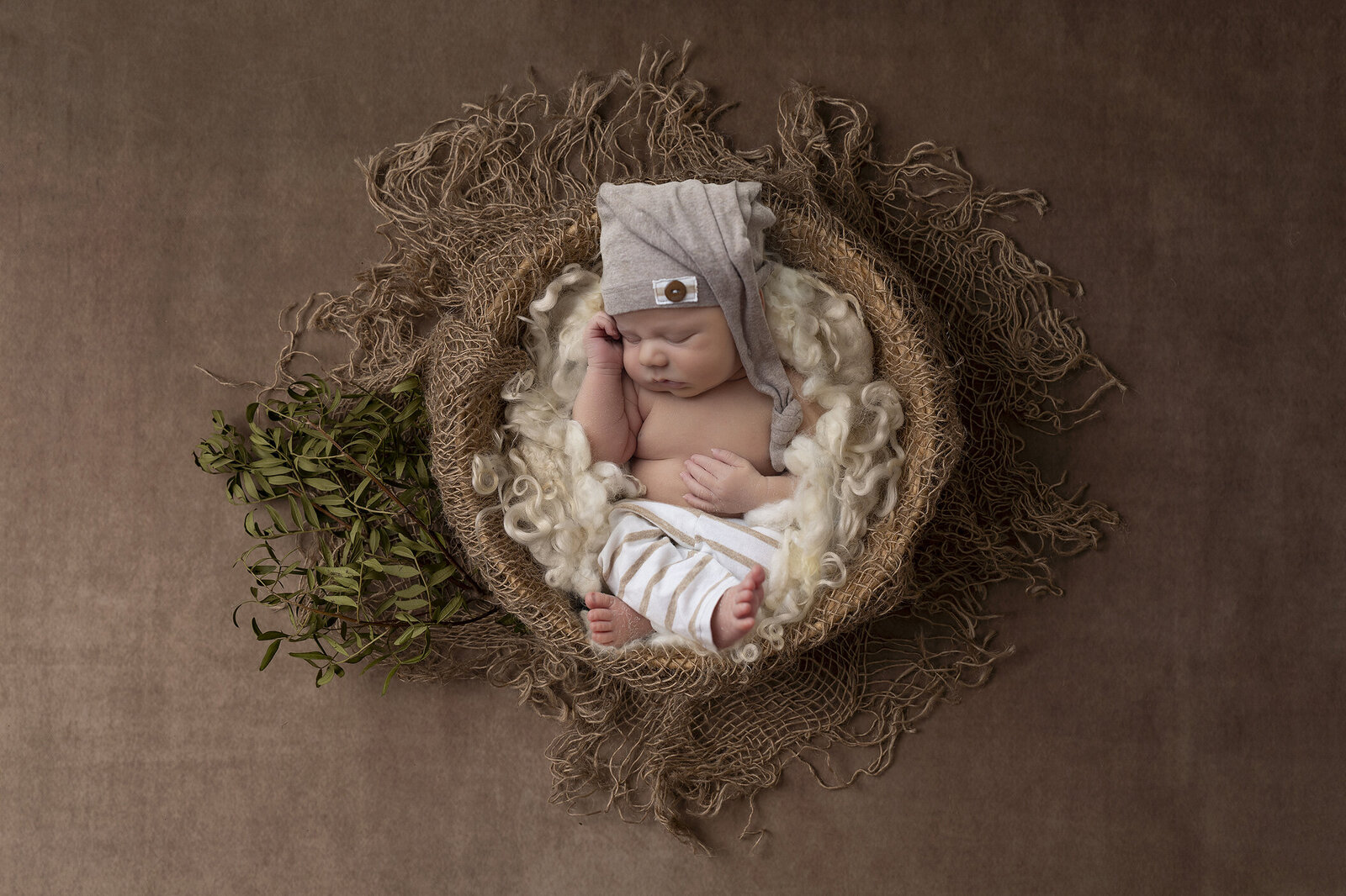 Newborn boy in brown bucket posed by Dahlias and Daisies newborn photographer.