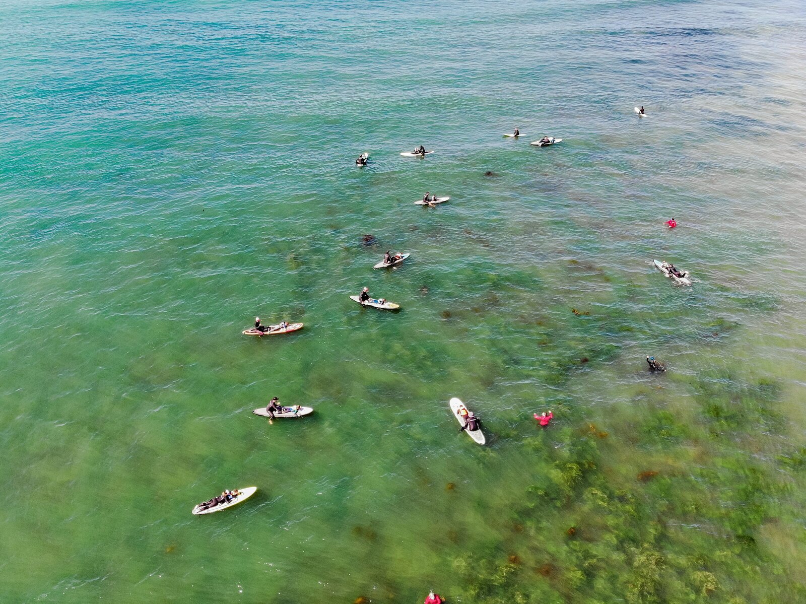 SoCal-Surf-Culture-Venice-Malibu-Muscle-Beach-Breakwater-0038