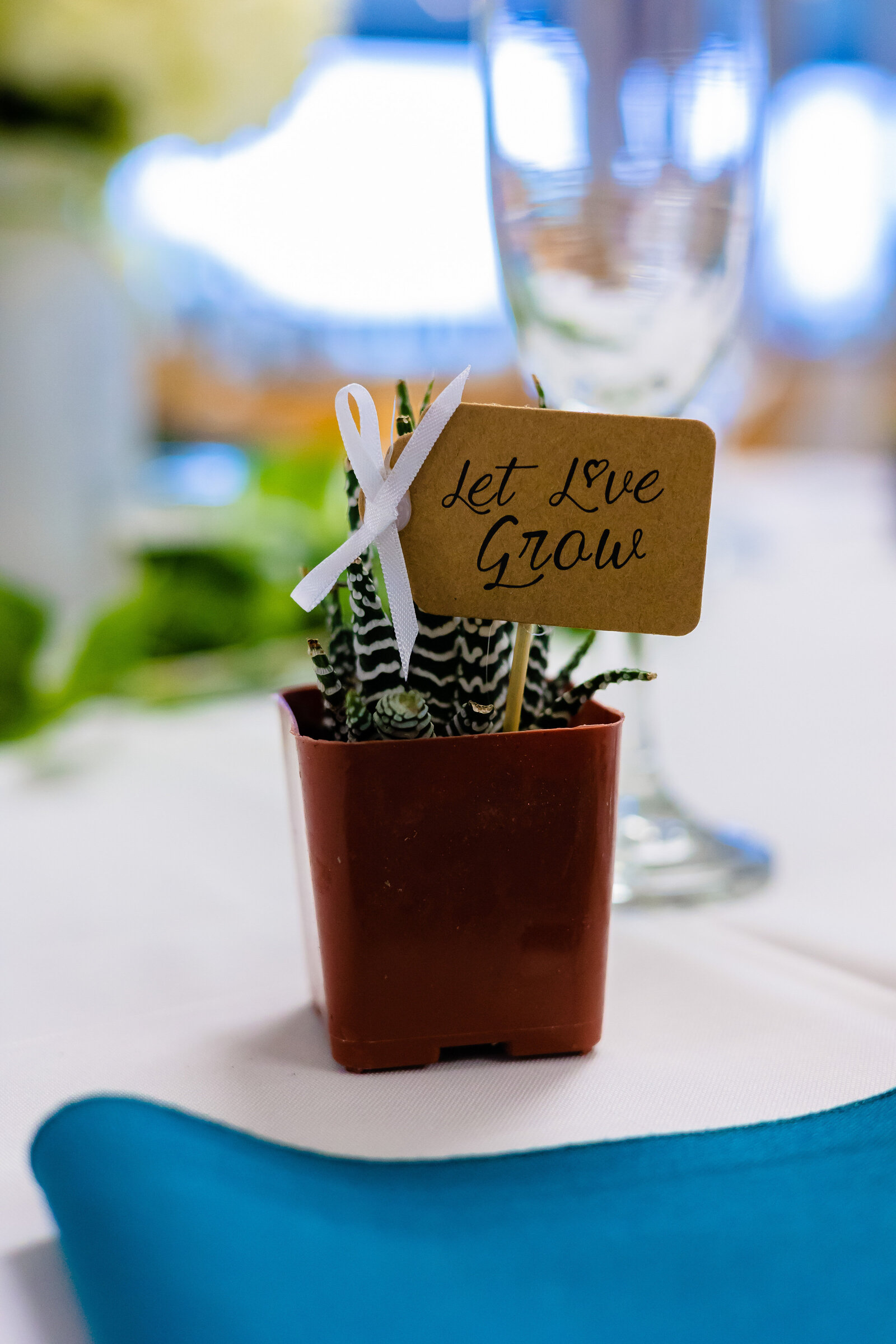 Annie + Tiff 1.21.23 Tampa Bay Watch Wedding - alt Photography - -53