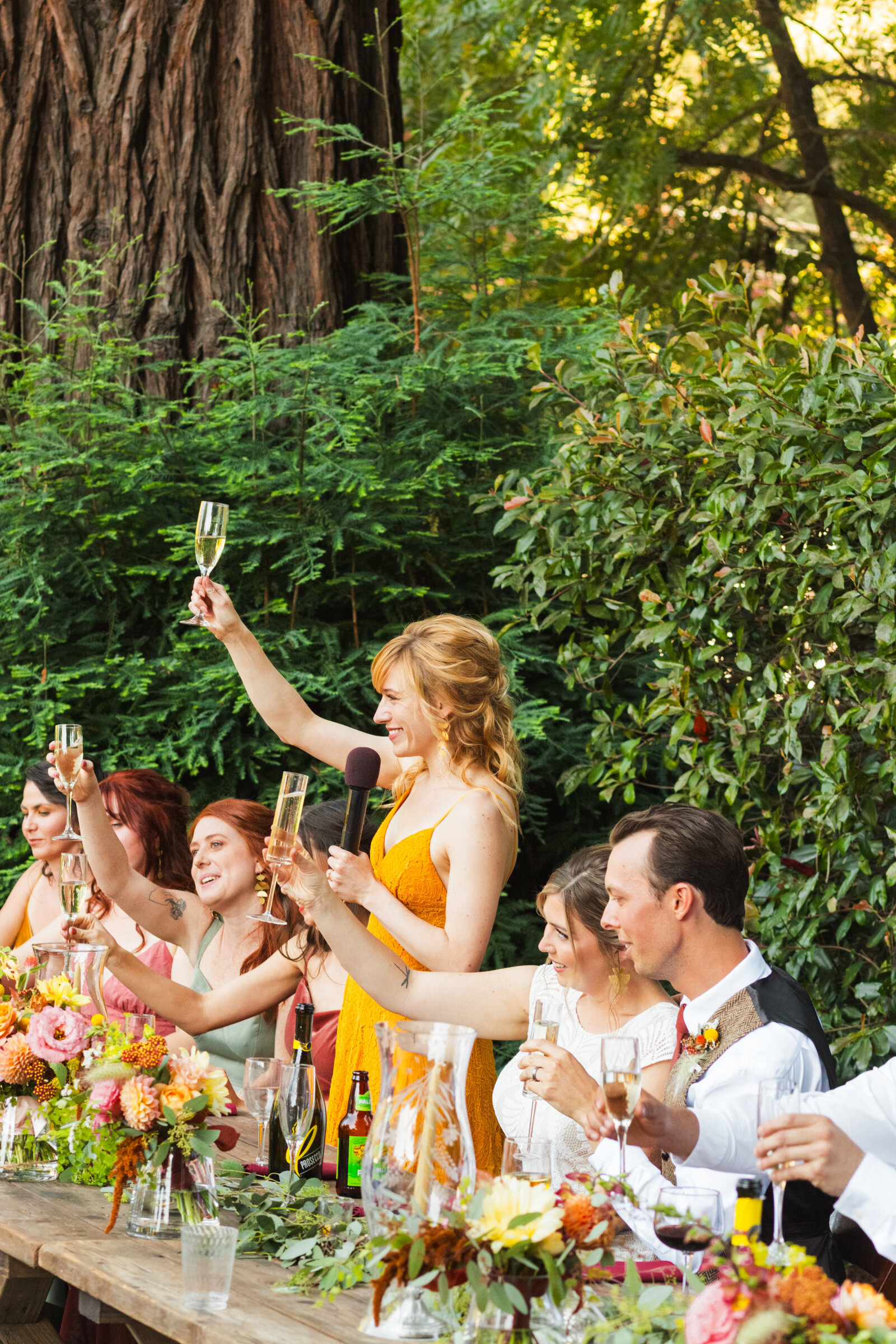 Wedding toasts in Santa Cruz, California in the redwood trees.