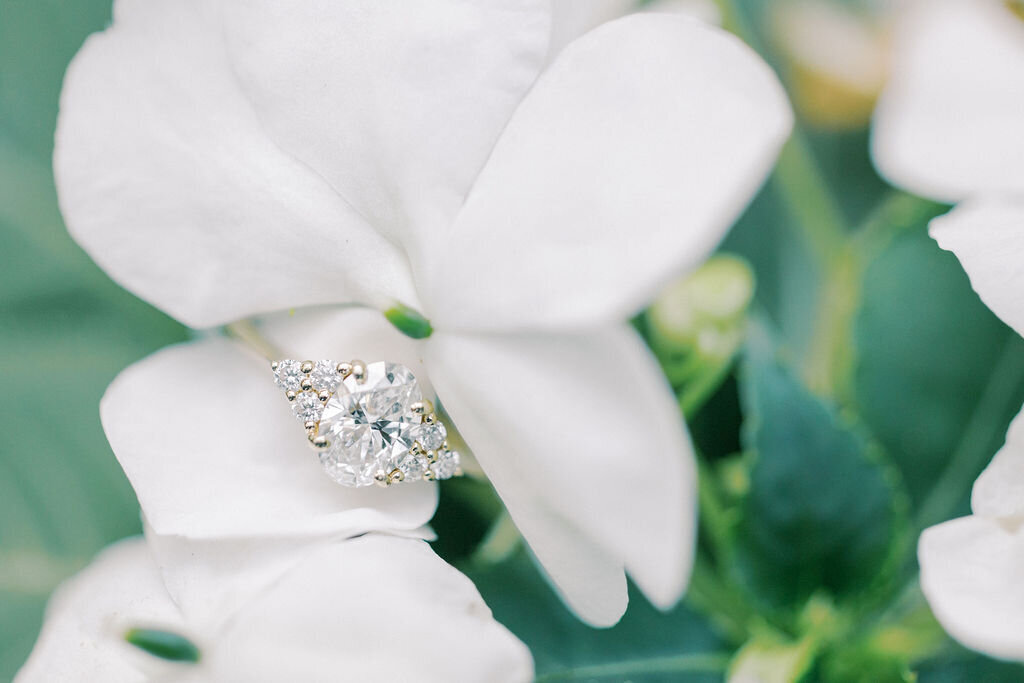 oval engagement ring on white flower in university of georgia's founder's garden