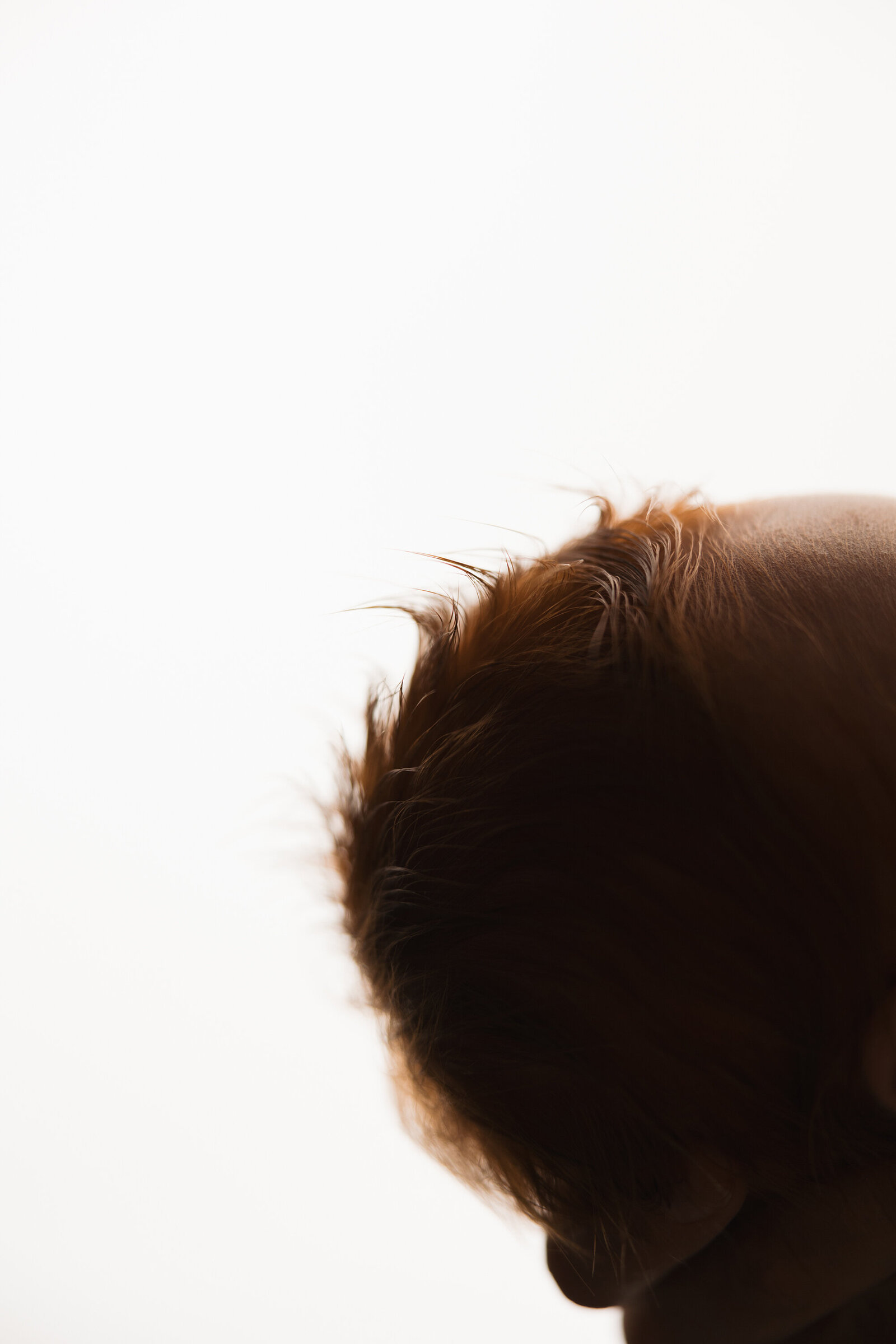 phoenix newborn photographer999