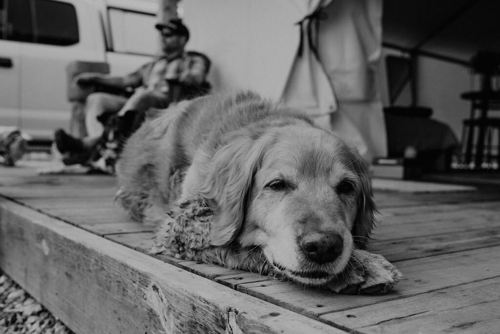 KateSeymourPhotography-Abby+Drew-29