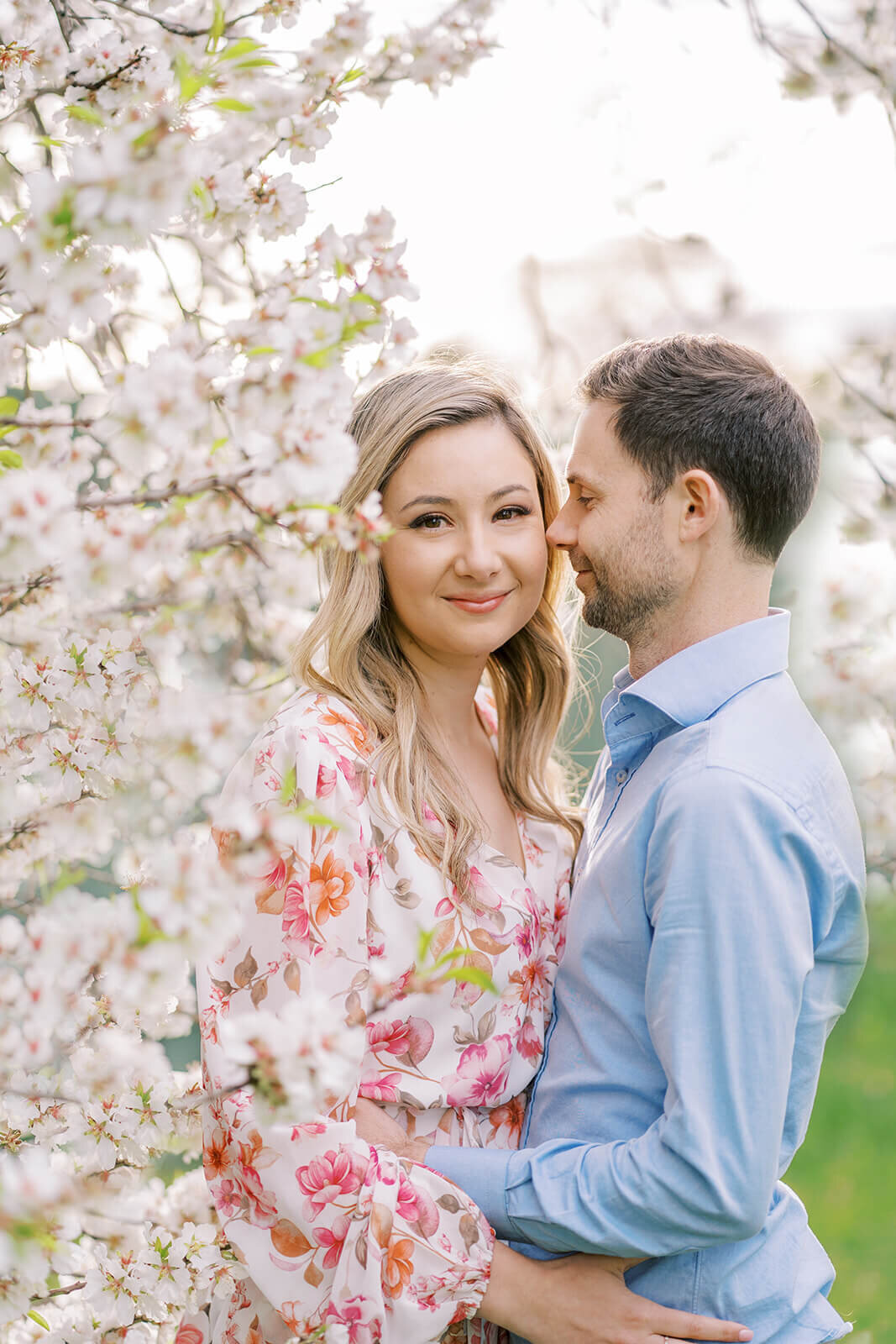 Cherish the sunset magic under Adelaide's almond blossoms with Brisbane couples photographer Hikari Lifestyle Photography.