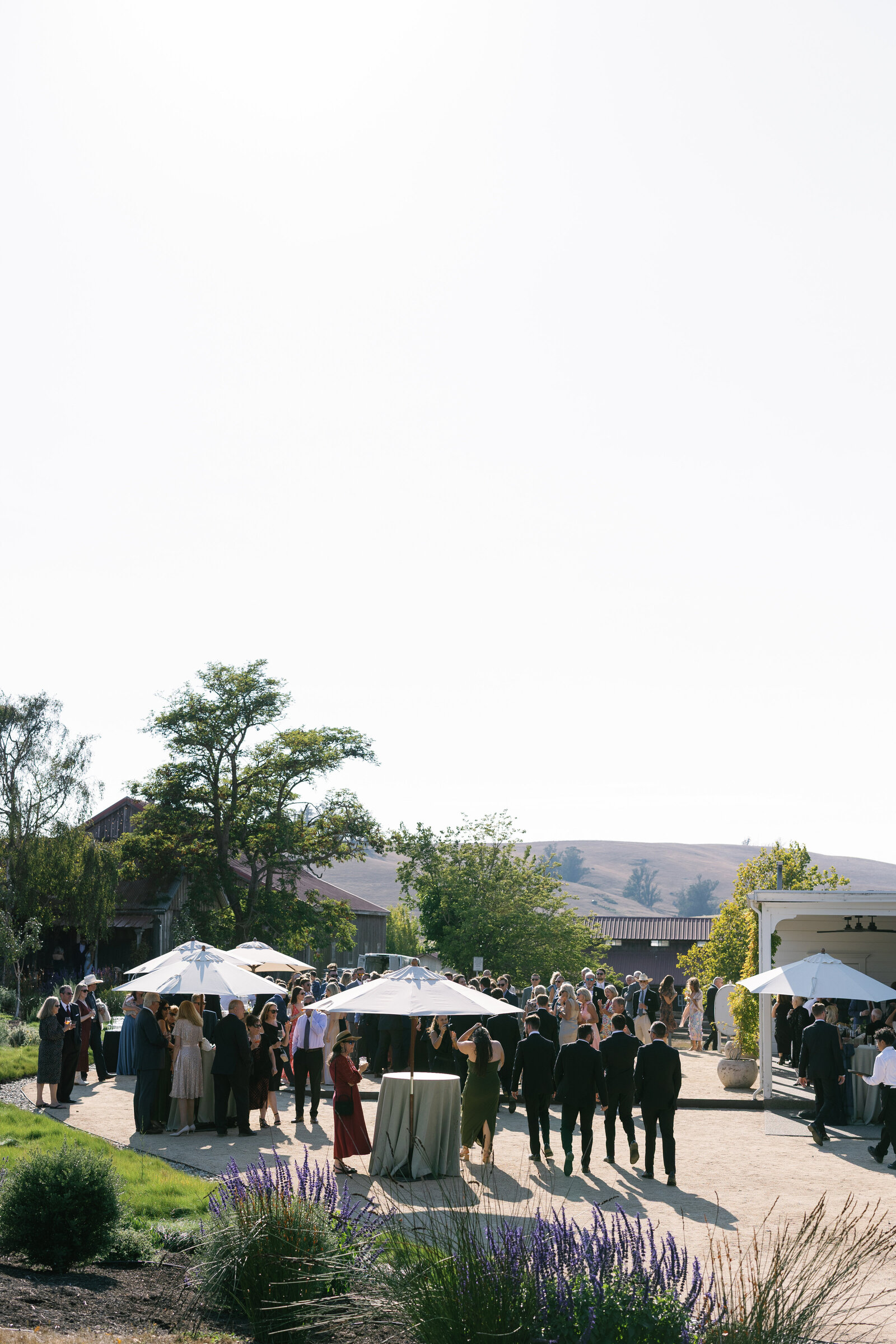 Alyssagaylephotography-Olympiasvalleyestate-petaluma-california-wedding-149