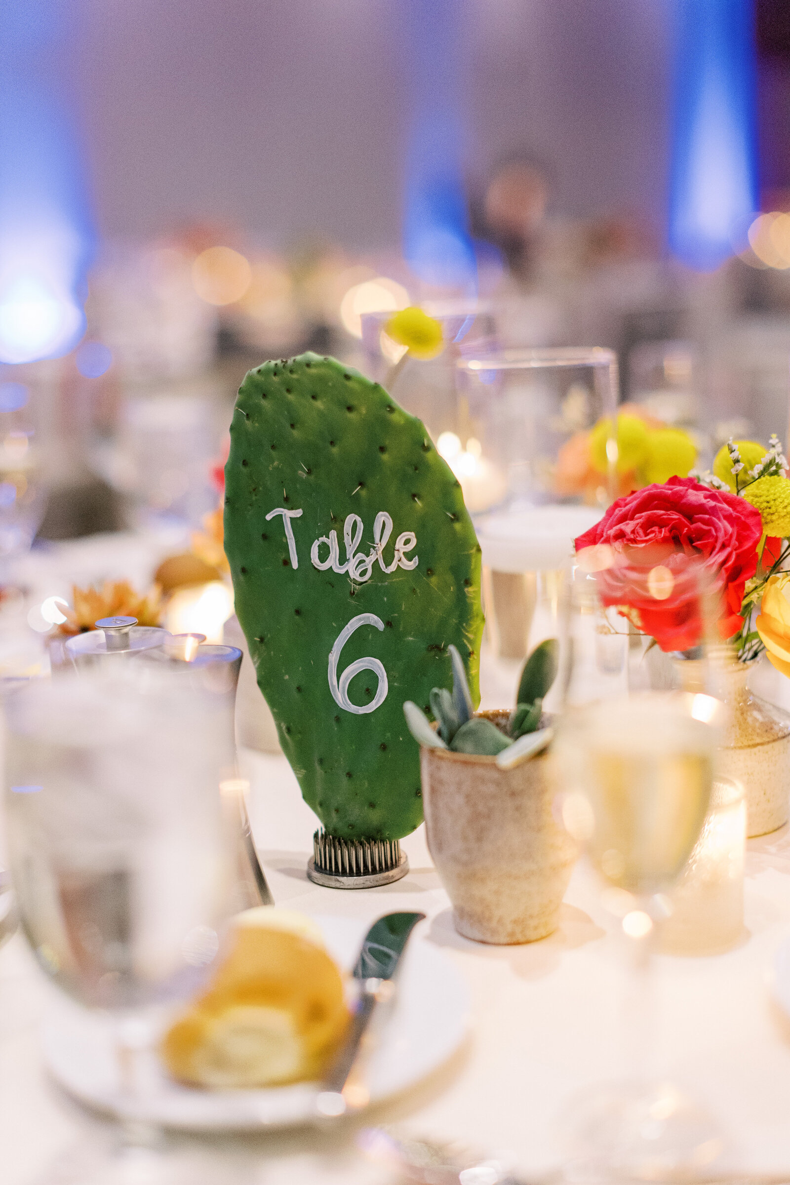 scottsdale-wedding-florist-table-number-cactus-pad