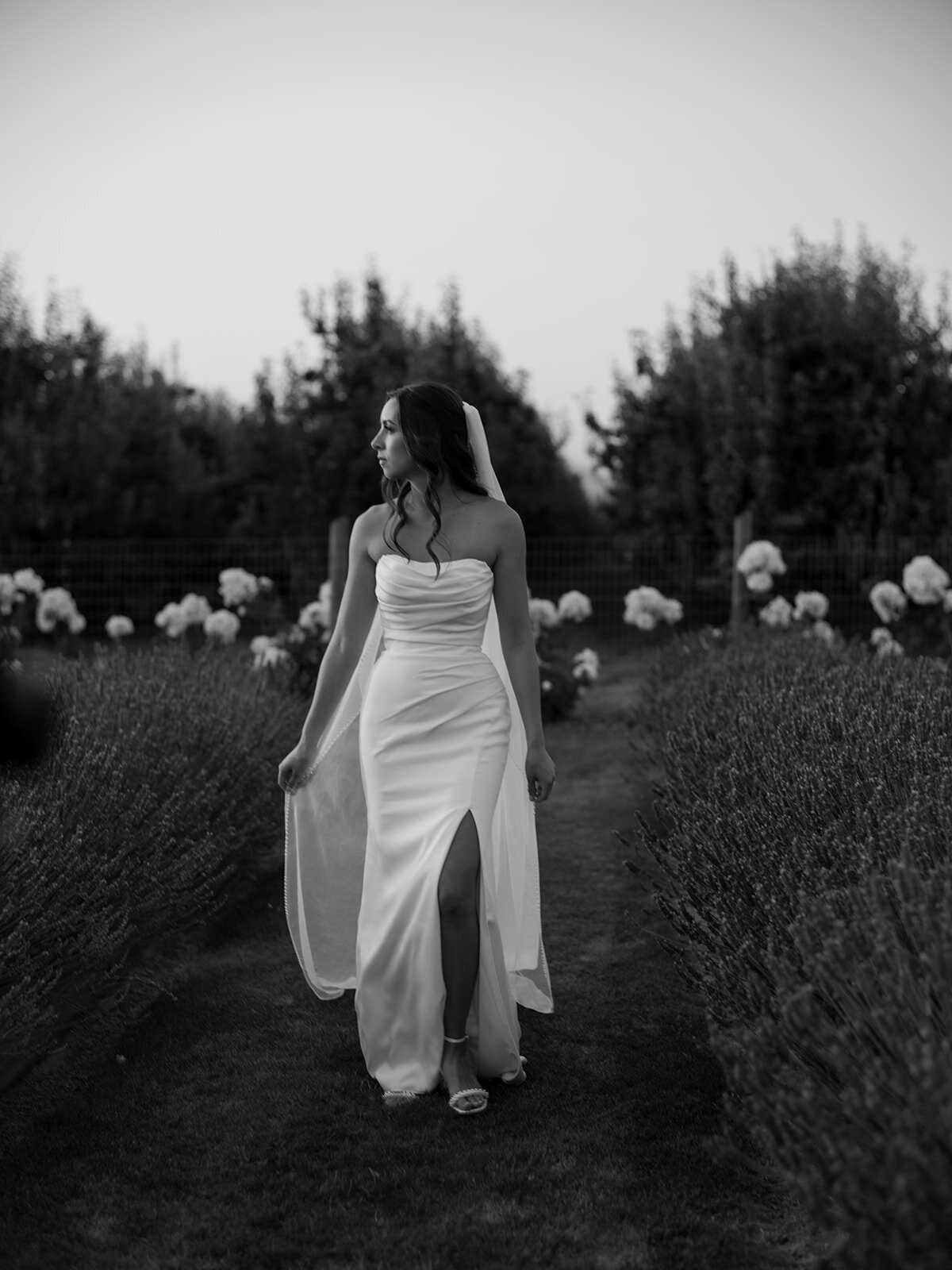 RTFaith-Portland-Wedding Photographer-619