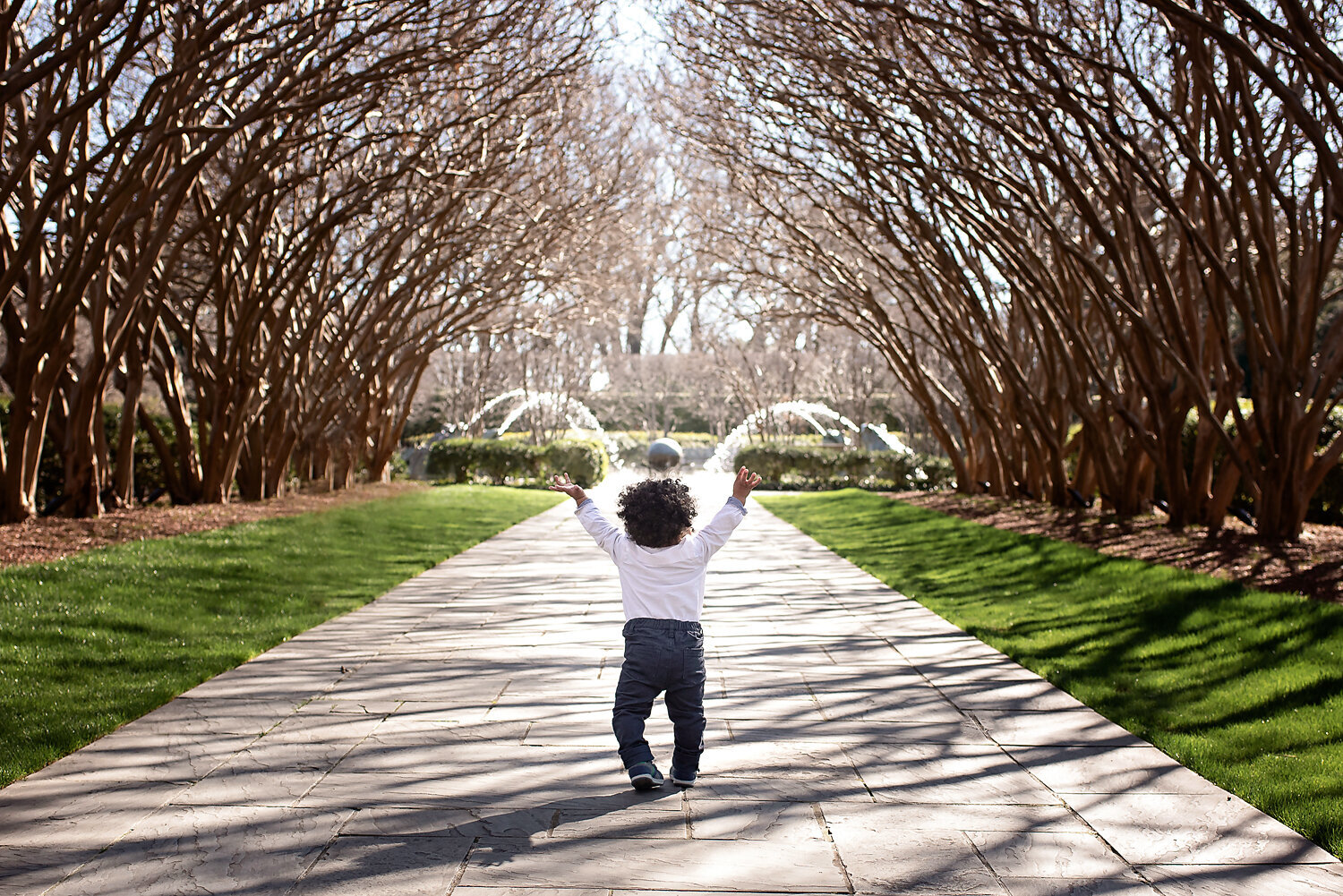 One year old boy with his arms in the air walking down a path under a canopy of trees  at the Dallas Arboretum.