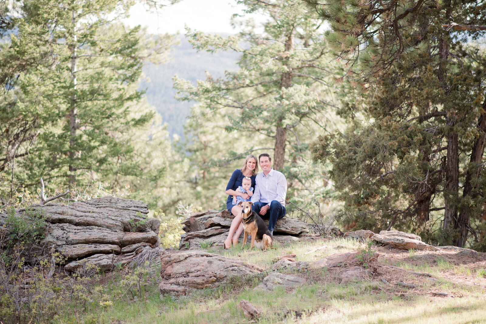 denver family photographers captures family outdoor photos with young family of three sitting close together in the woods on the rocks of the mountains surrounded by tall evergreen trees