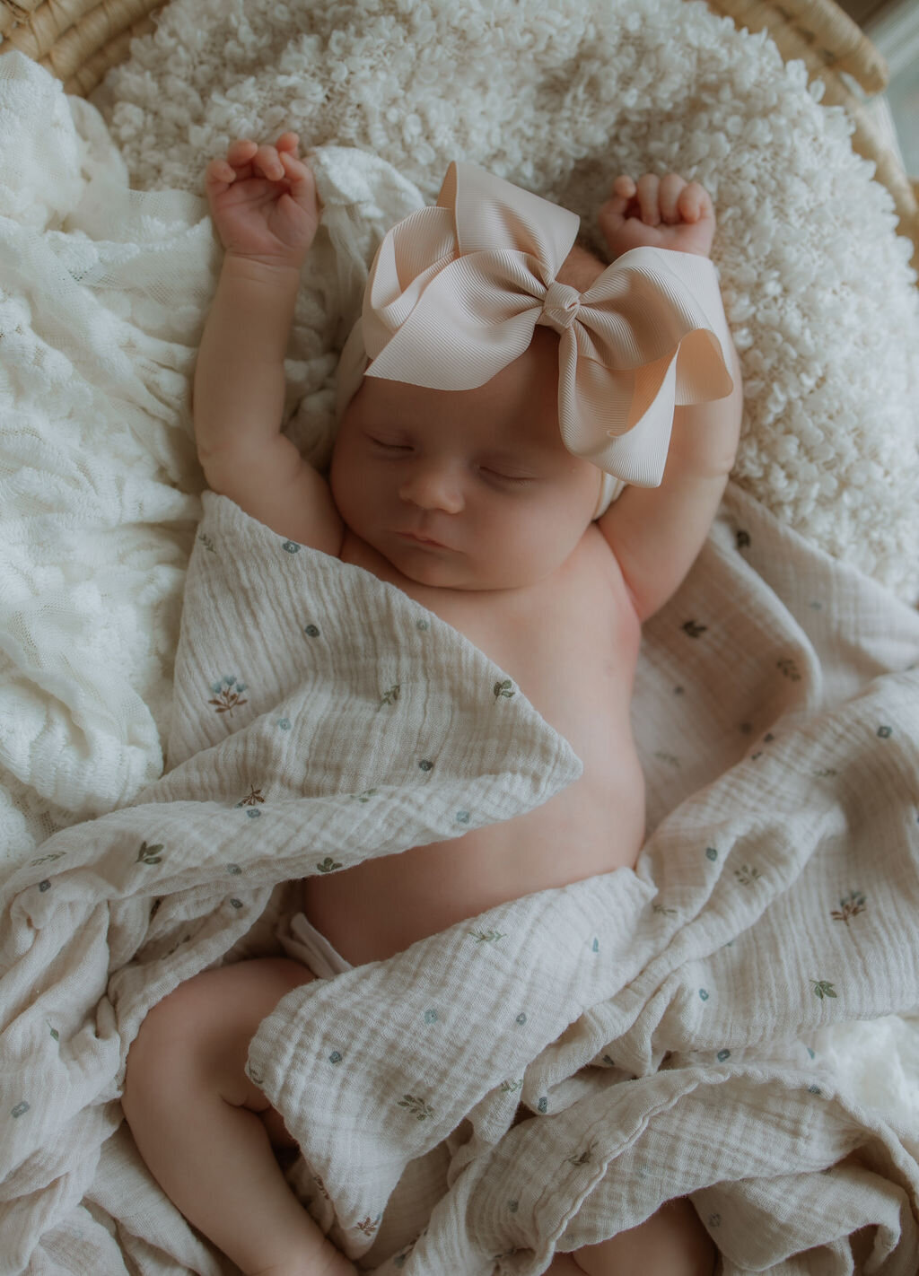 AbigailElizabethPhoto-6643