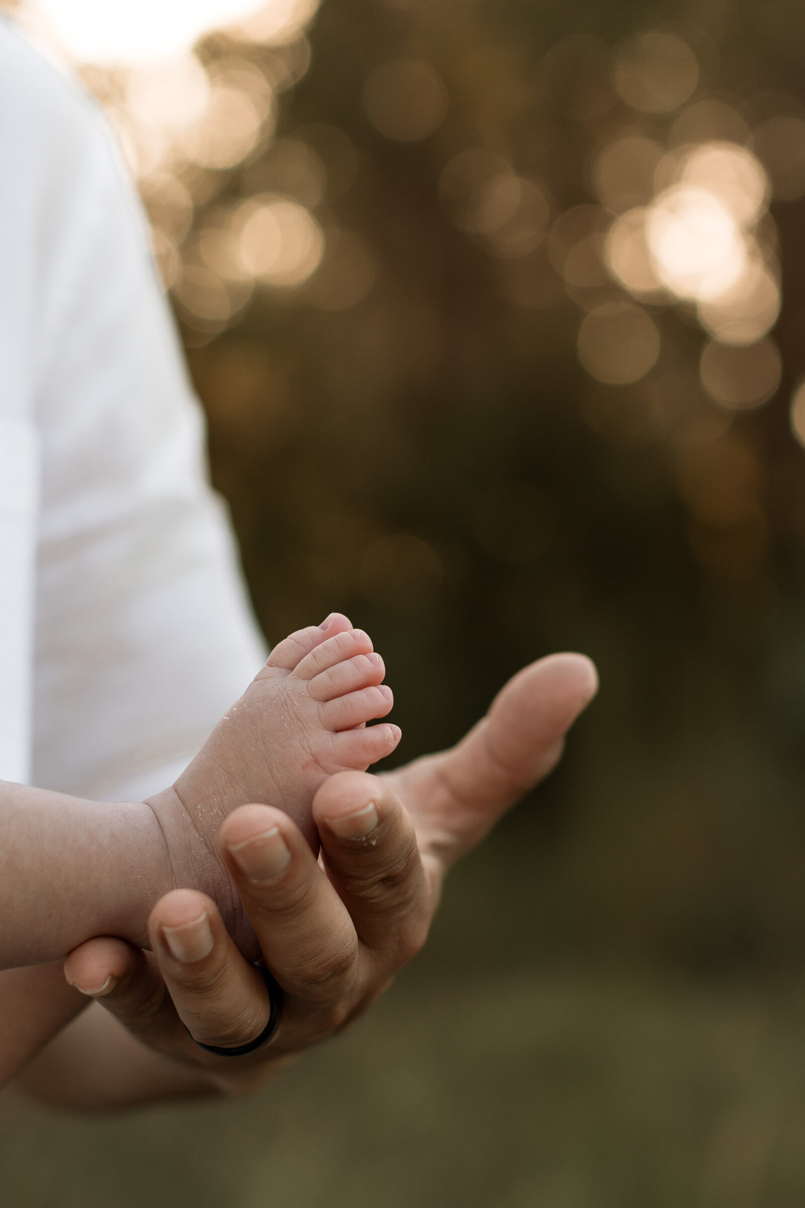 san-antonio-newborn-photographer12