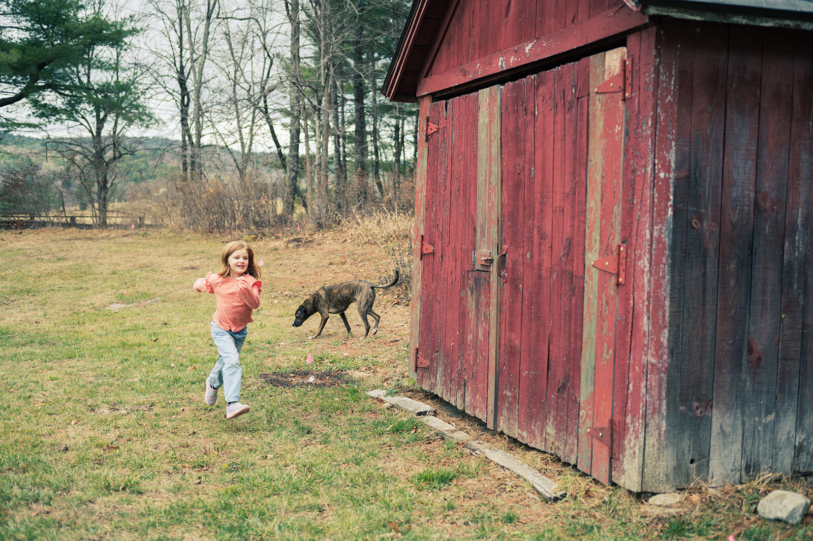 A siblings playing photo litchfield county captured in a documentary-style family photography session.