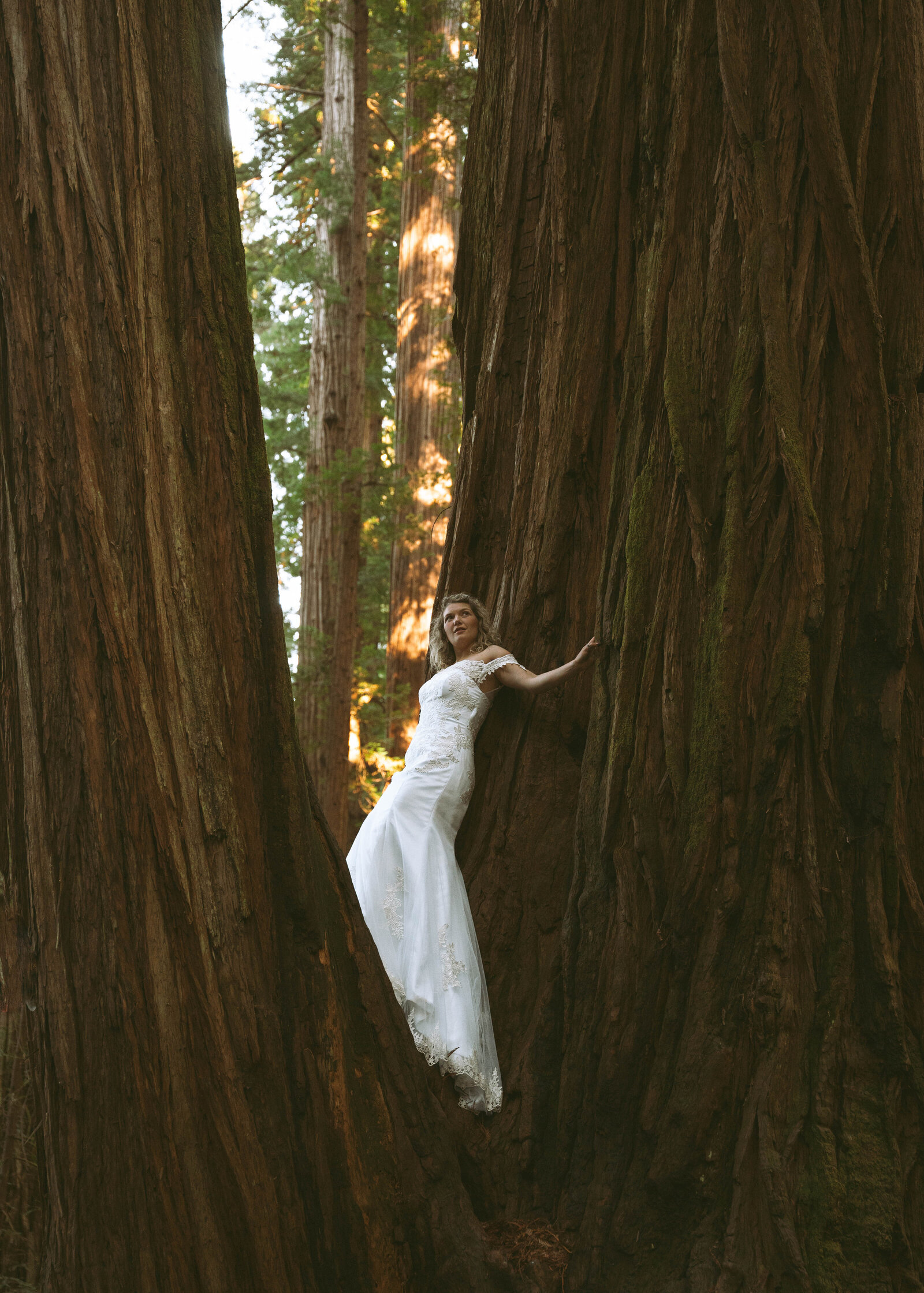 elopement 2