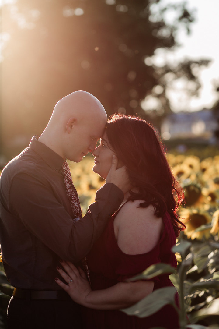 Engagement session in sunflower field0003