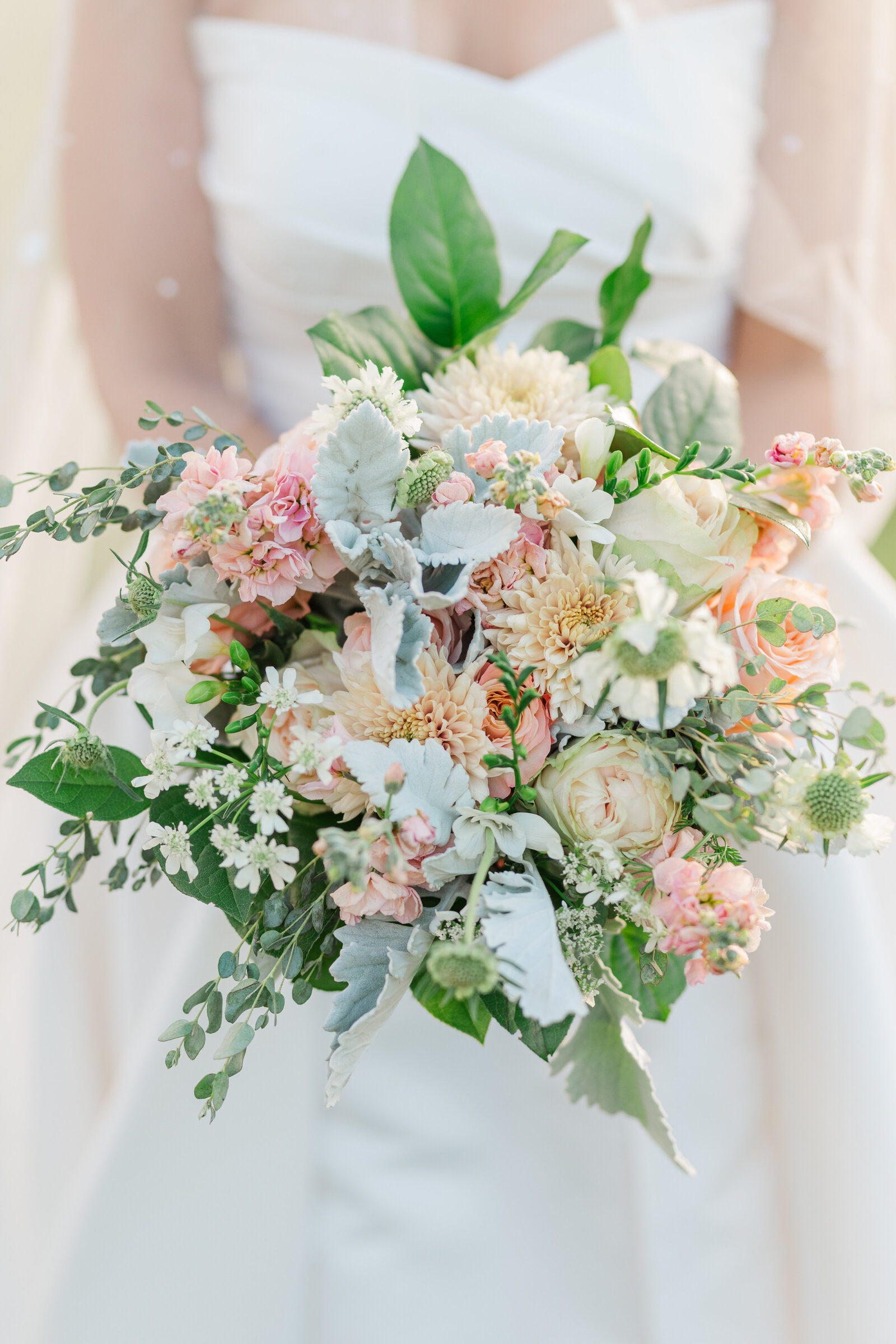 Mahsa + Arjung at Briar Patch Bed and Breakfast Middleburg Persian Wedding-368