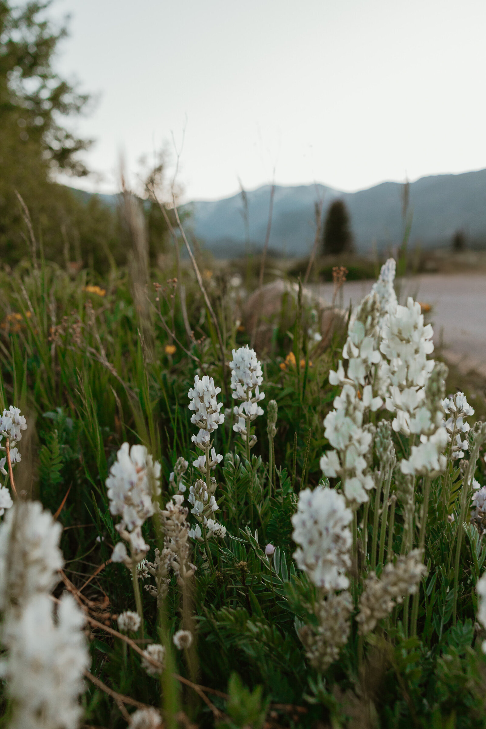 Estes-Park-Colorado-Adventure-Engagement-photographer-44