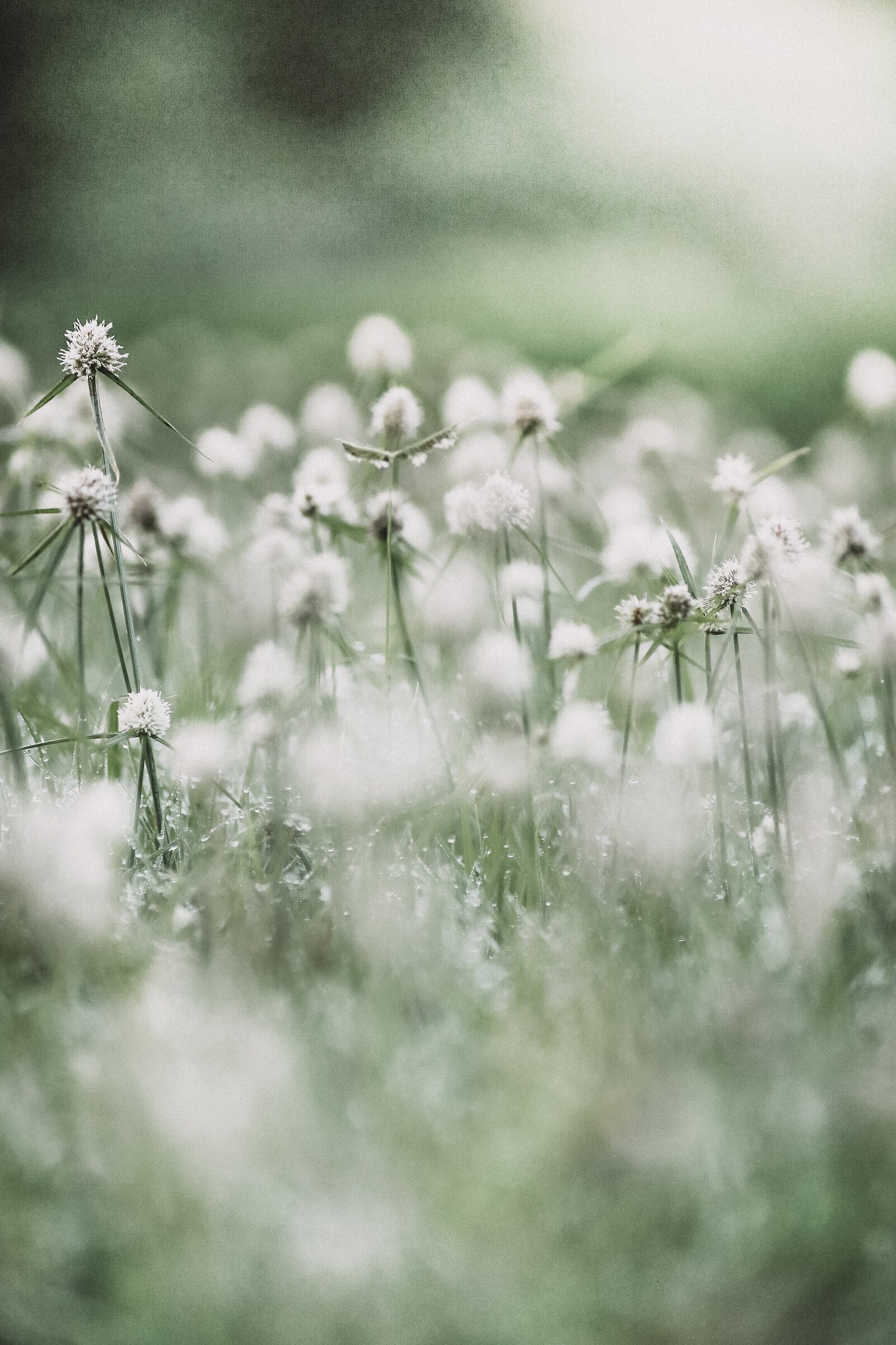 kyle-cut-media-6pivSvPHWVg-unsplash