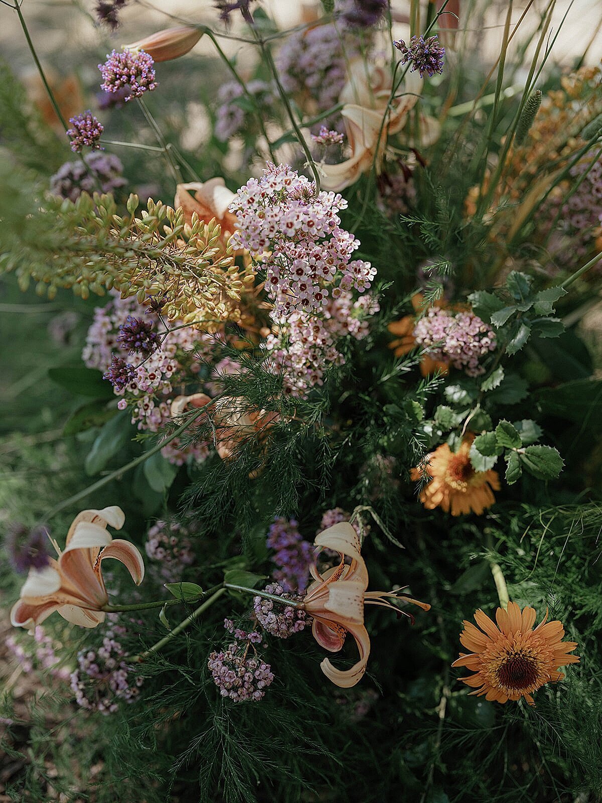 sonoma-vineyard-estate-wedding-7