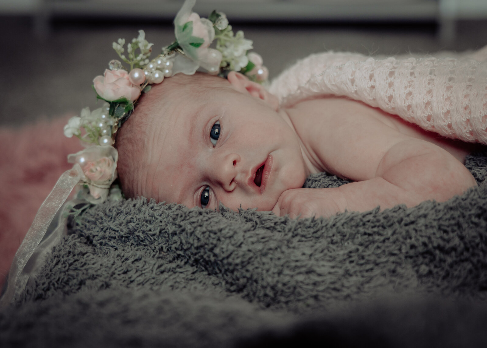 baby newborn portrait 3