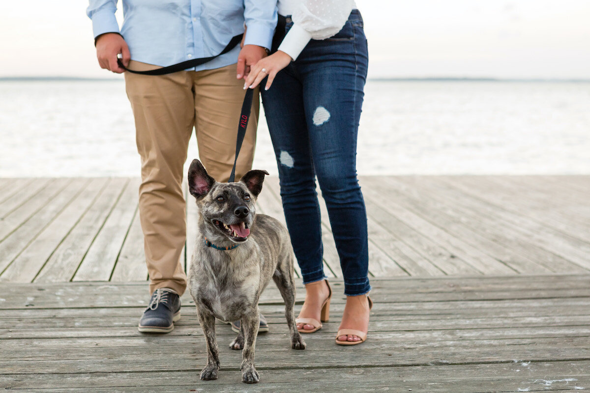 island-beach-state-park-engagement-14