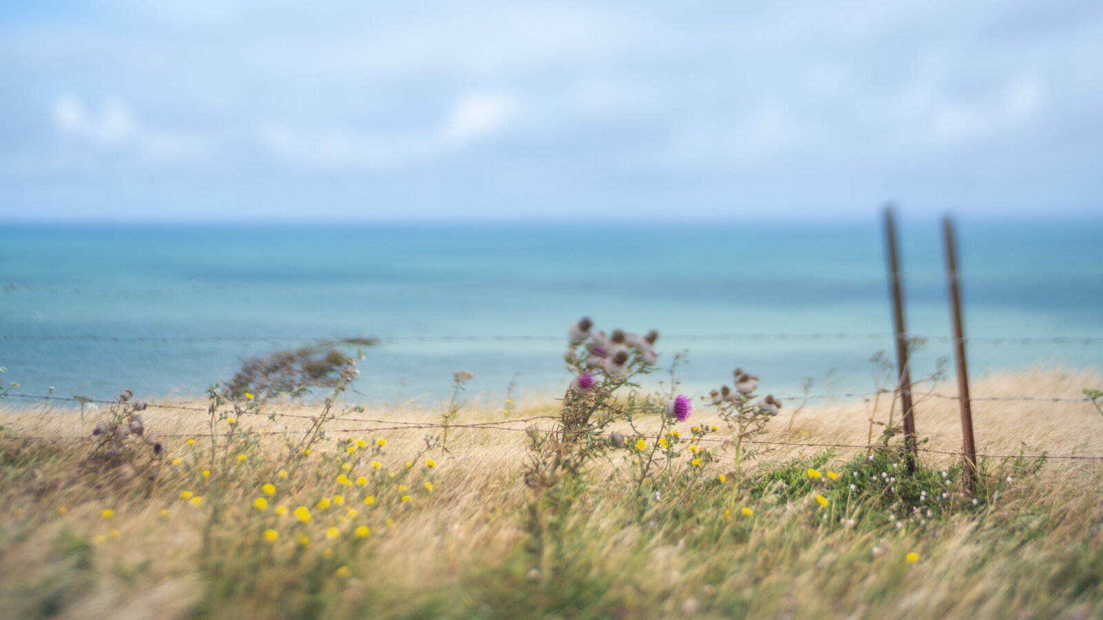 fine_art_photographer _004