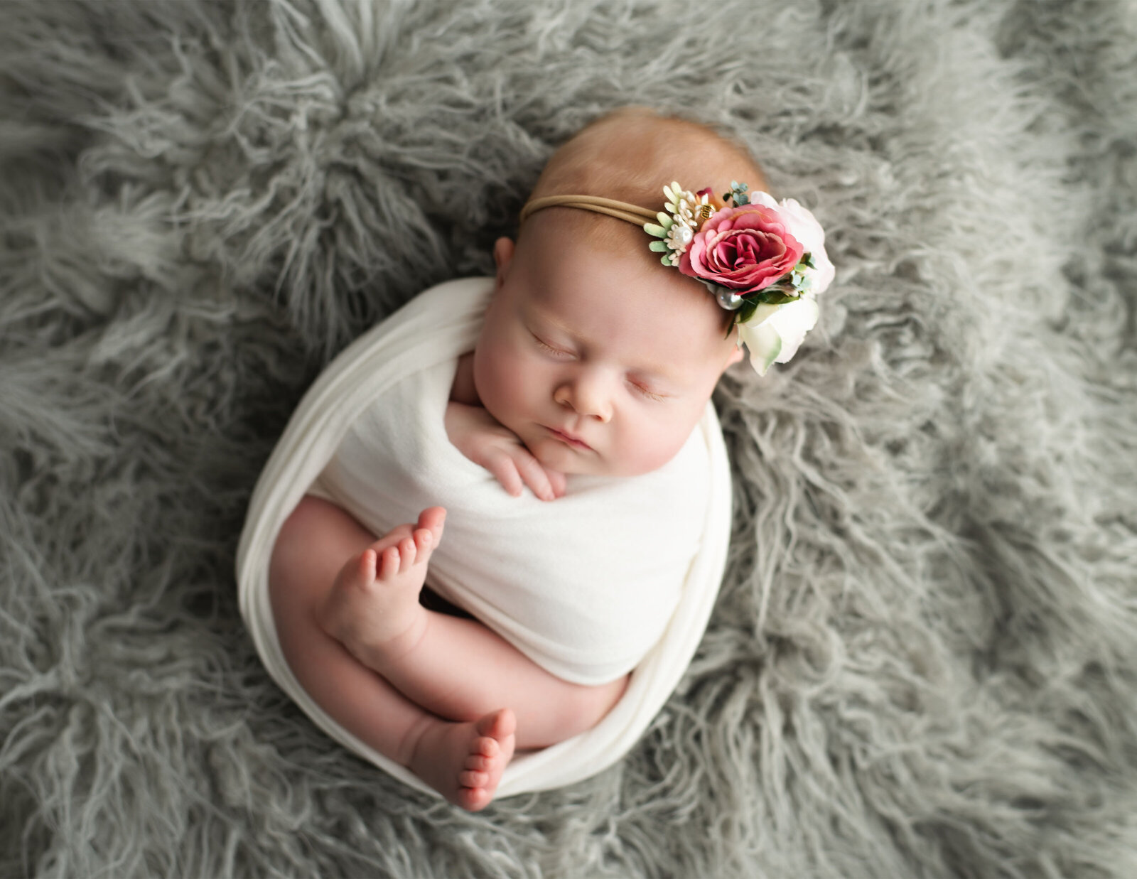 provo utah newborn baby photographer