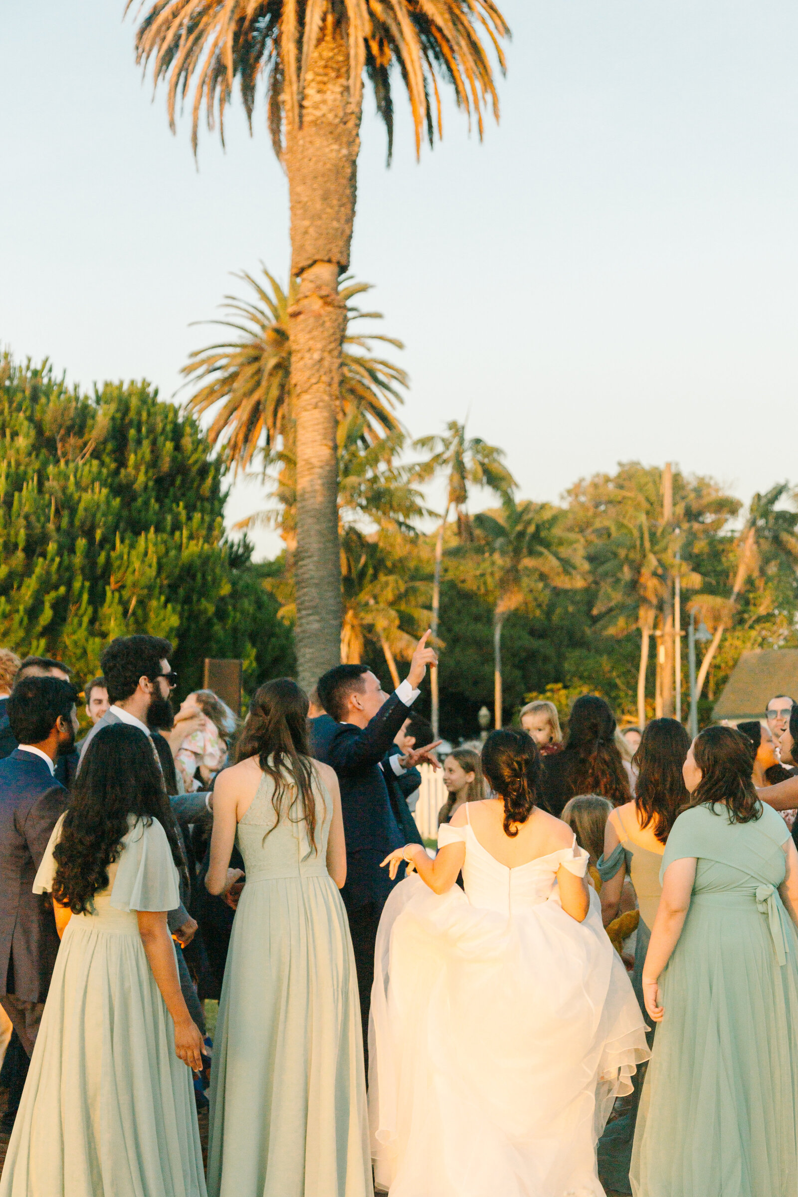 Reception in Los Angeles underneath palm trees.