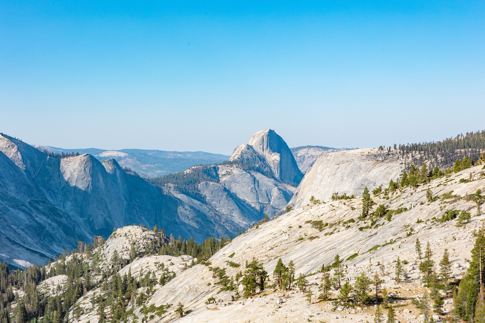 Yosemite-National-Park-Valley-California-Forest-0052