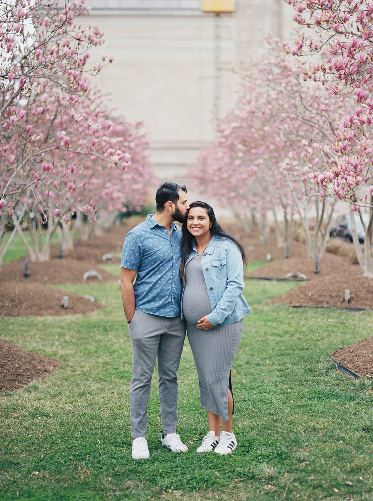 Vivid maternity portrait of a couple amidst blossoming magnolia trees in Washington, DC.