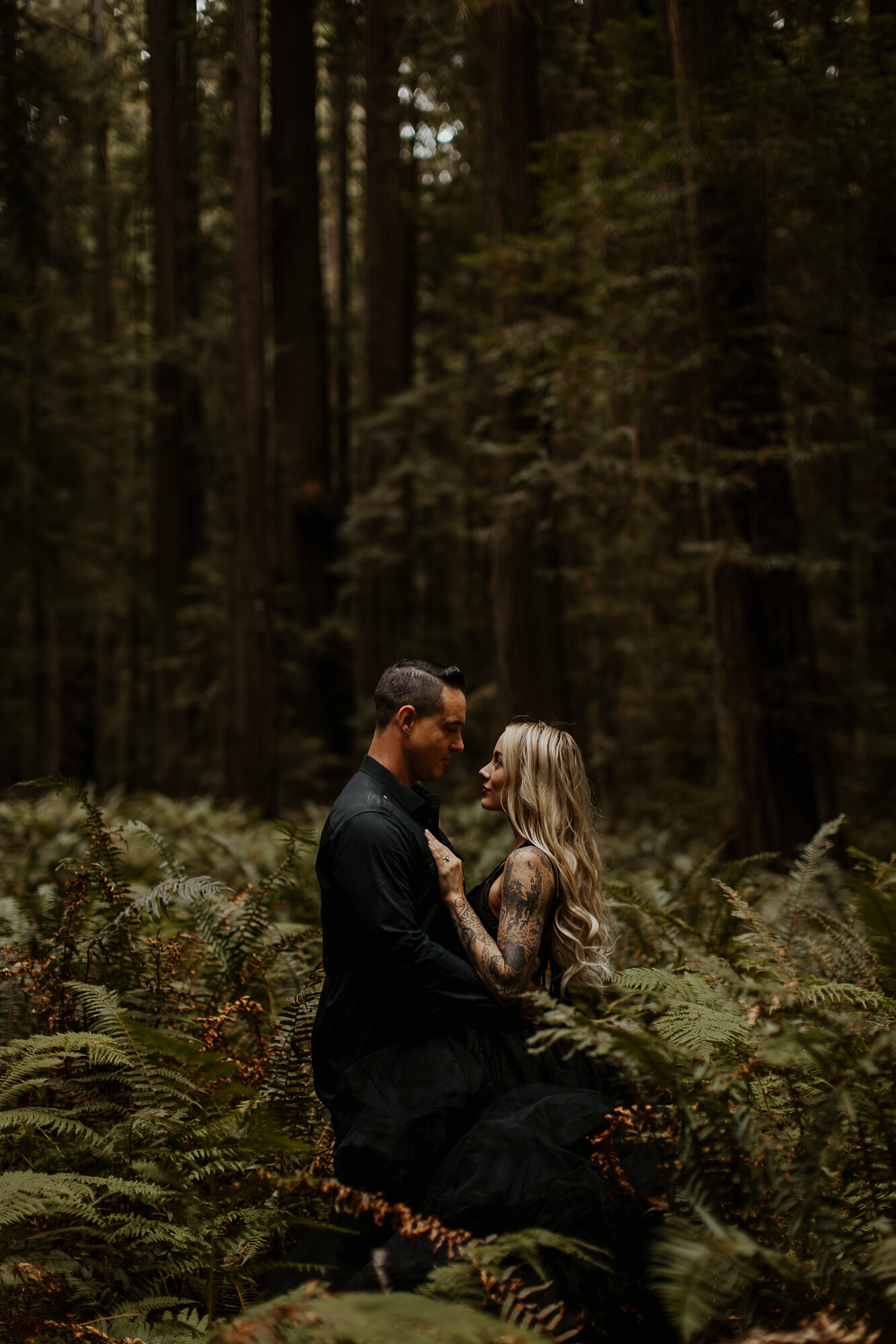 redwood elopement