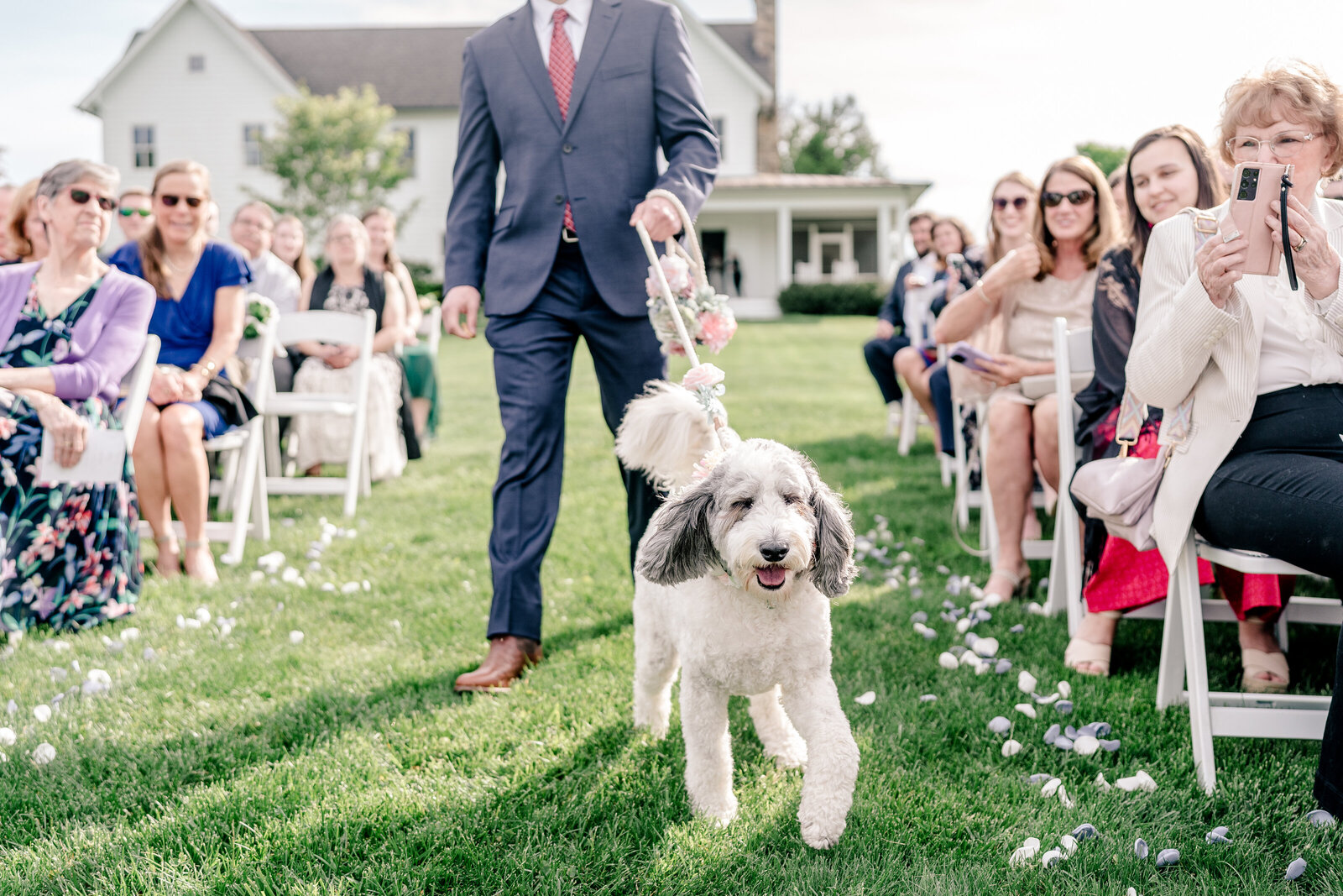 A flower dog going down the aisle during a wedding at Blue Hill Farm in Loudoun County