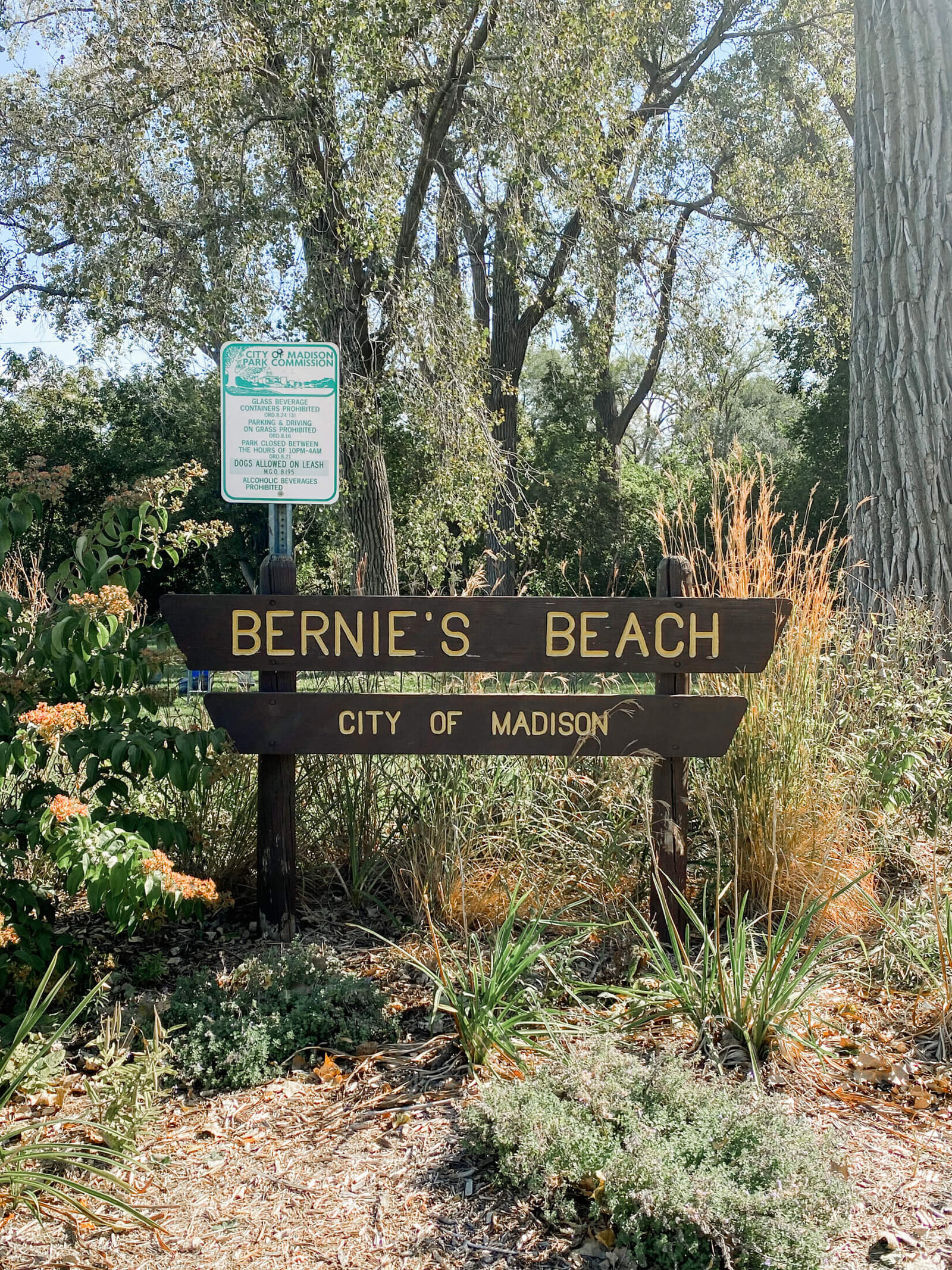 Bay Creek-6