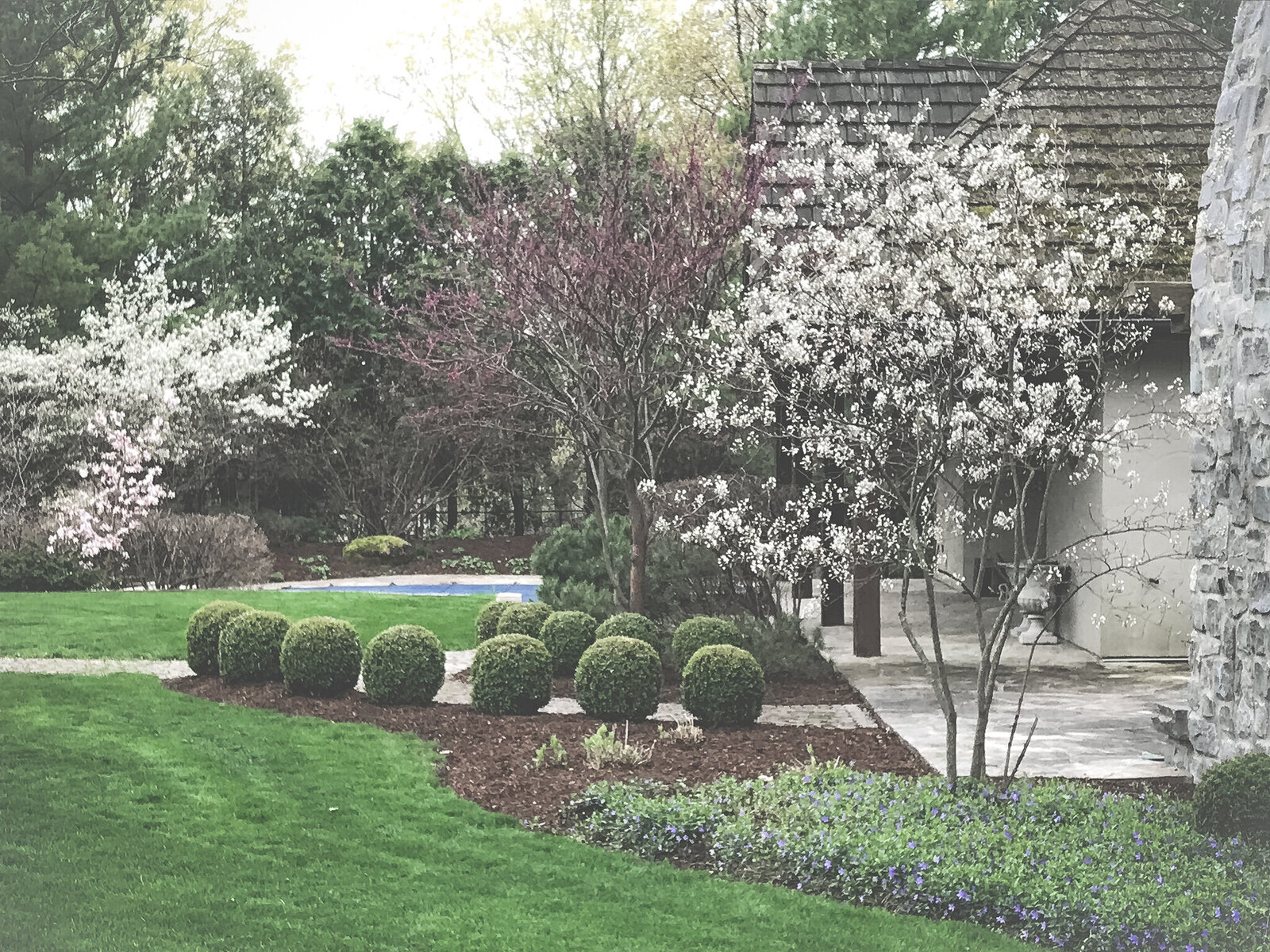 a landscaped backyard by helena's gardening