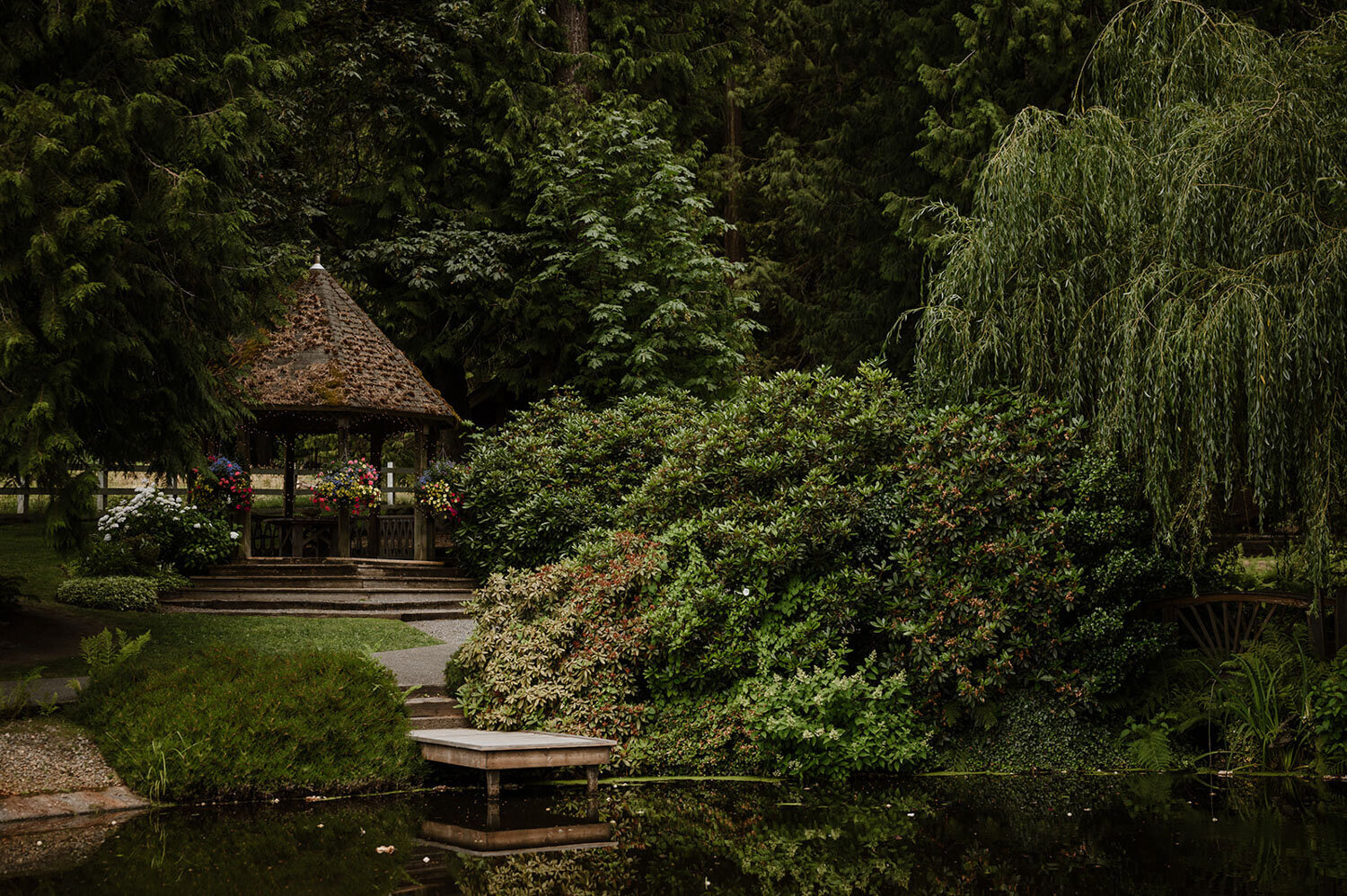 Garden pond with lush greenery