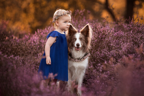 Een ontspannen fotoshoot met een diervriendelijke basis. Ik leg de band vast tussen jou en je hond