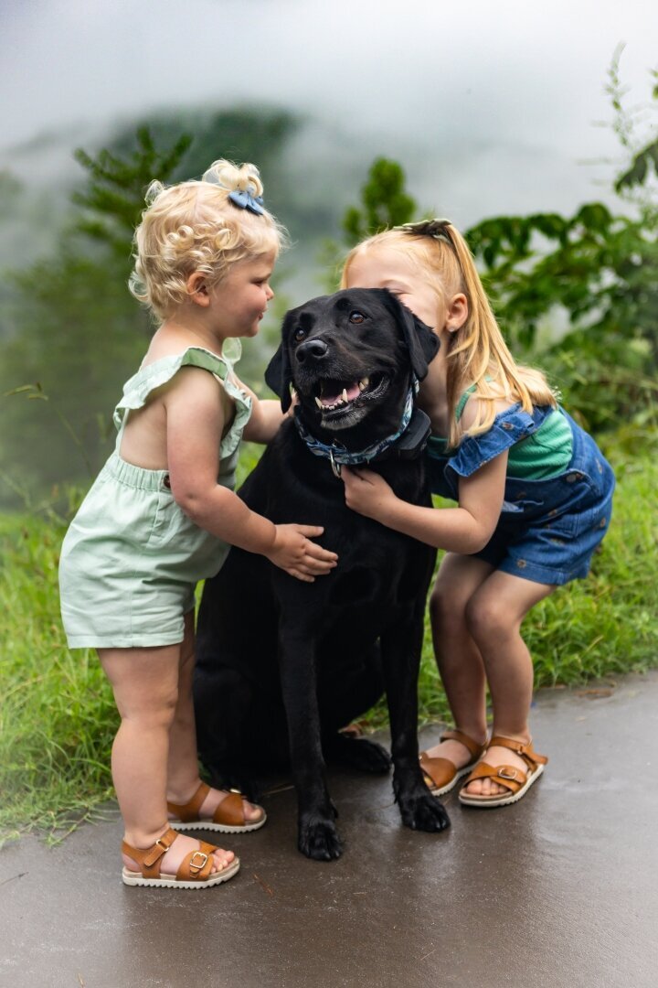 Family_Photos_Smoky_Mountains