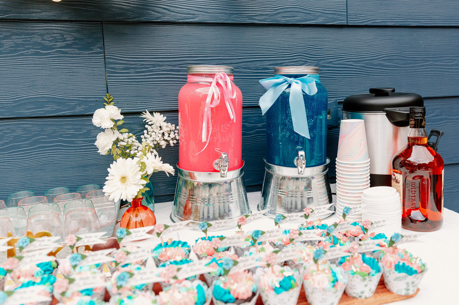 baby-shower-photos-charlotte-nc (3)