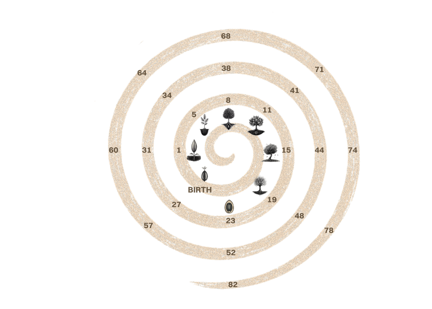 Illustration of the Spiral of Becoming showing 8 repeating life stages across a 30-year rhythm: Awakening, Amplification, Catalyst, Ascension, Zenith, Illumination, Metamorphosis, Liberation.