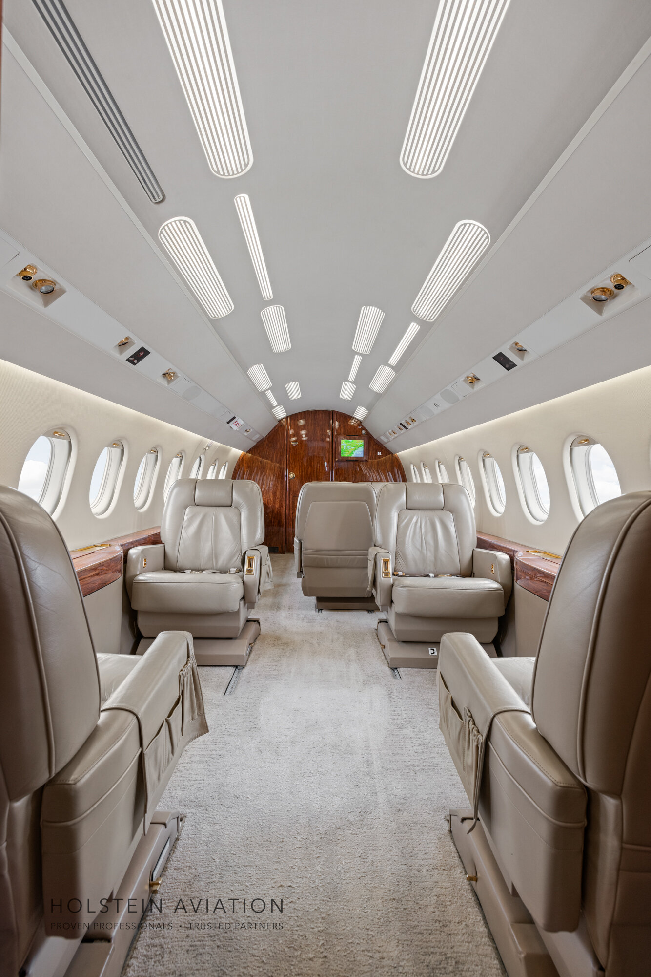 Falcon 2000 Watermarked-18