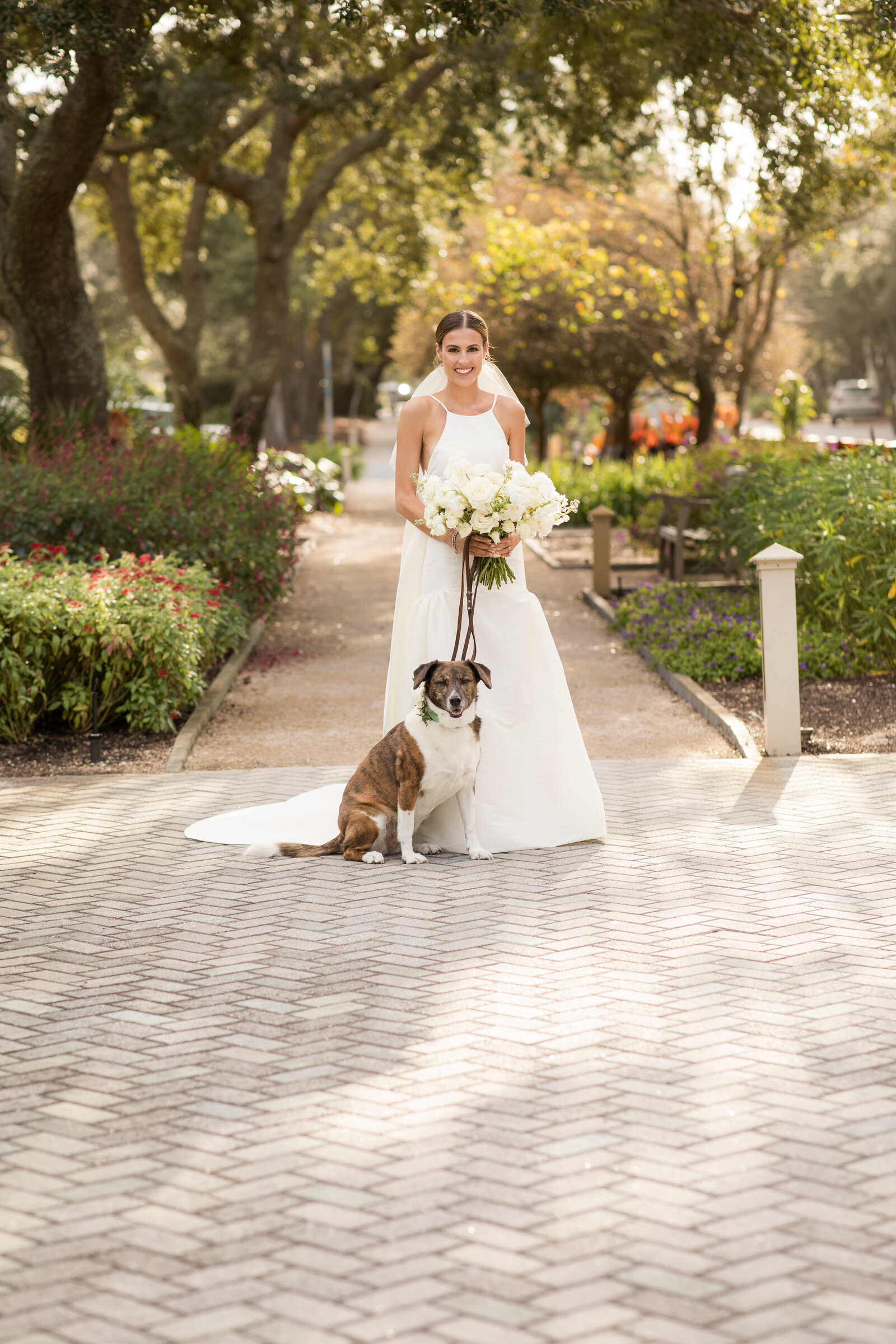 Watercolor weddings and wedding planner for destination wedding with bride and her dog.