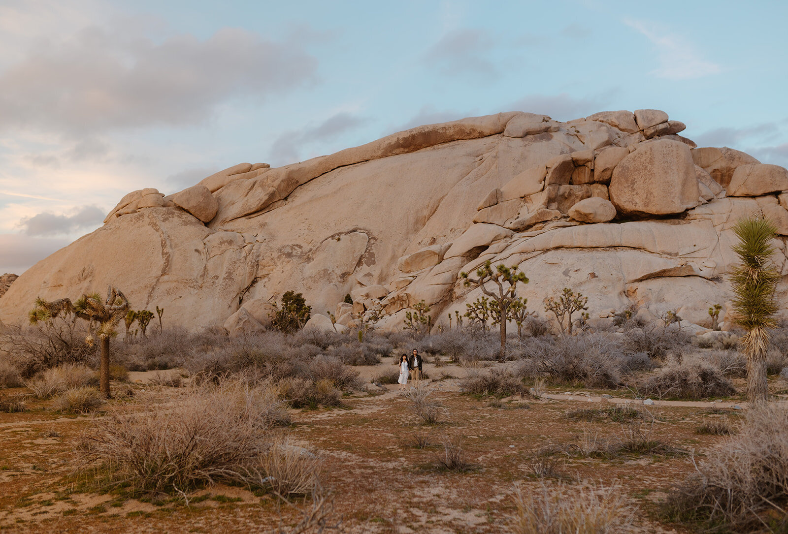 Couple holding hands with large boulder in desert setting at Joshua Tree National Park.